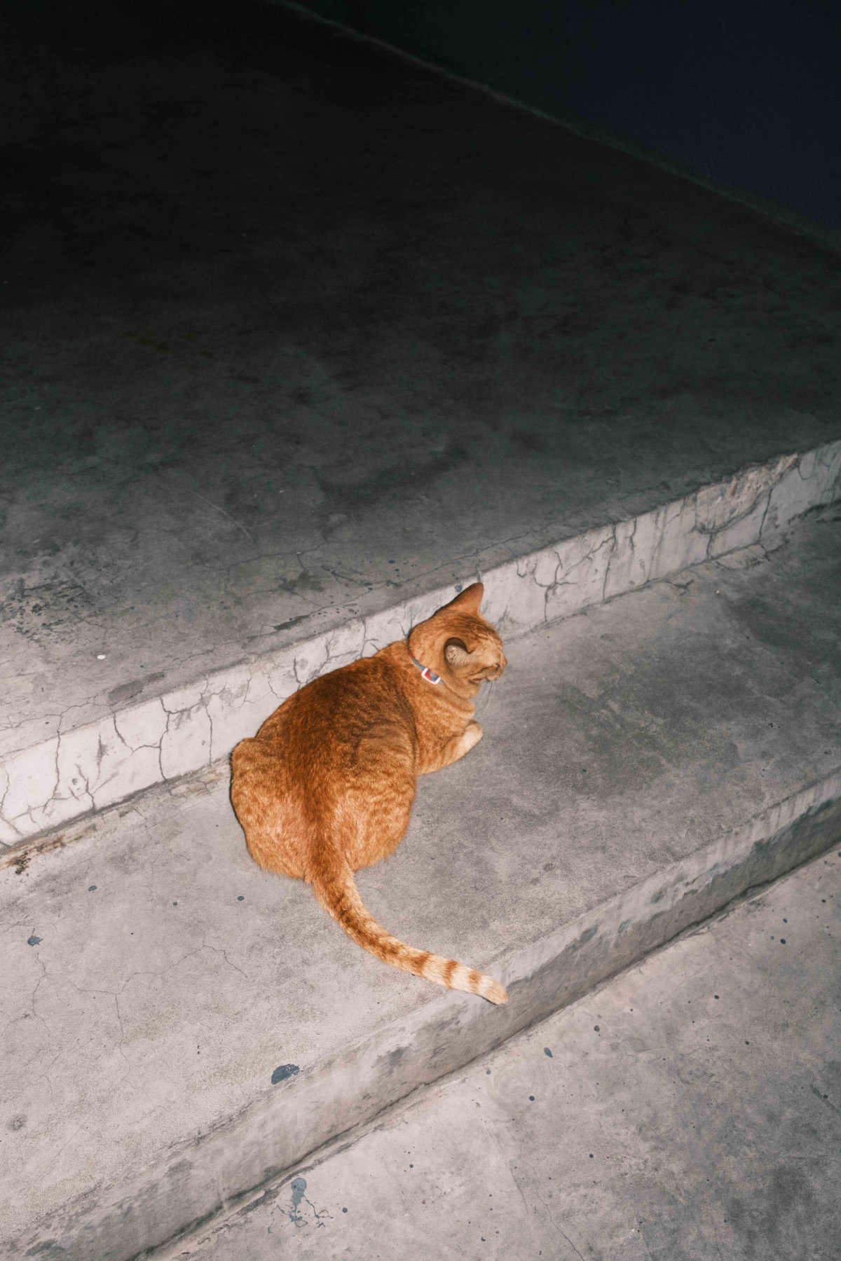 Bangkok Night photograph 2