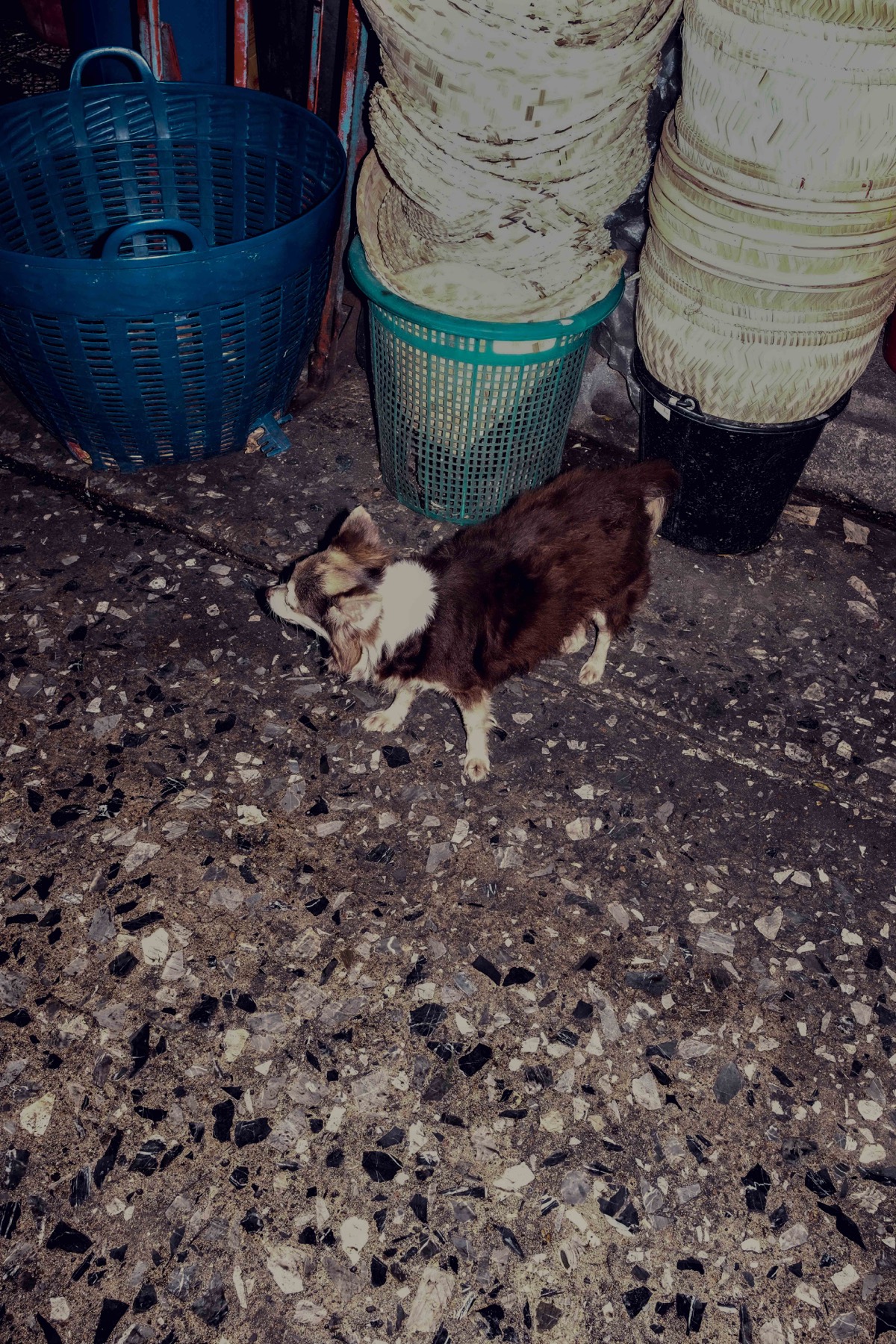 Bangkok Night photograph 19