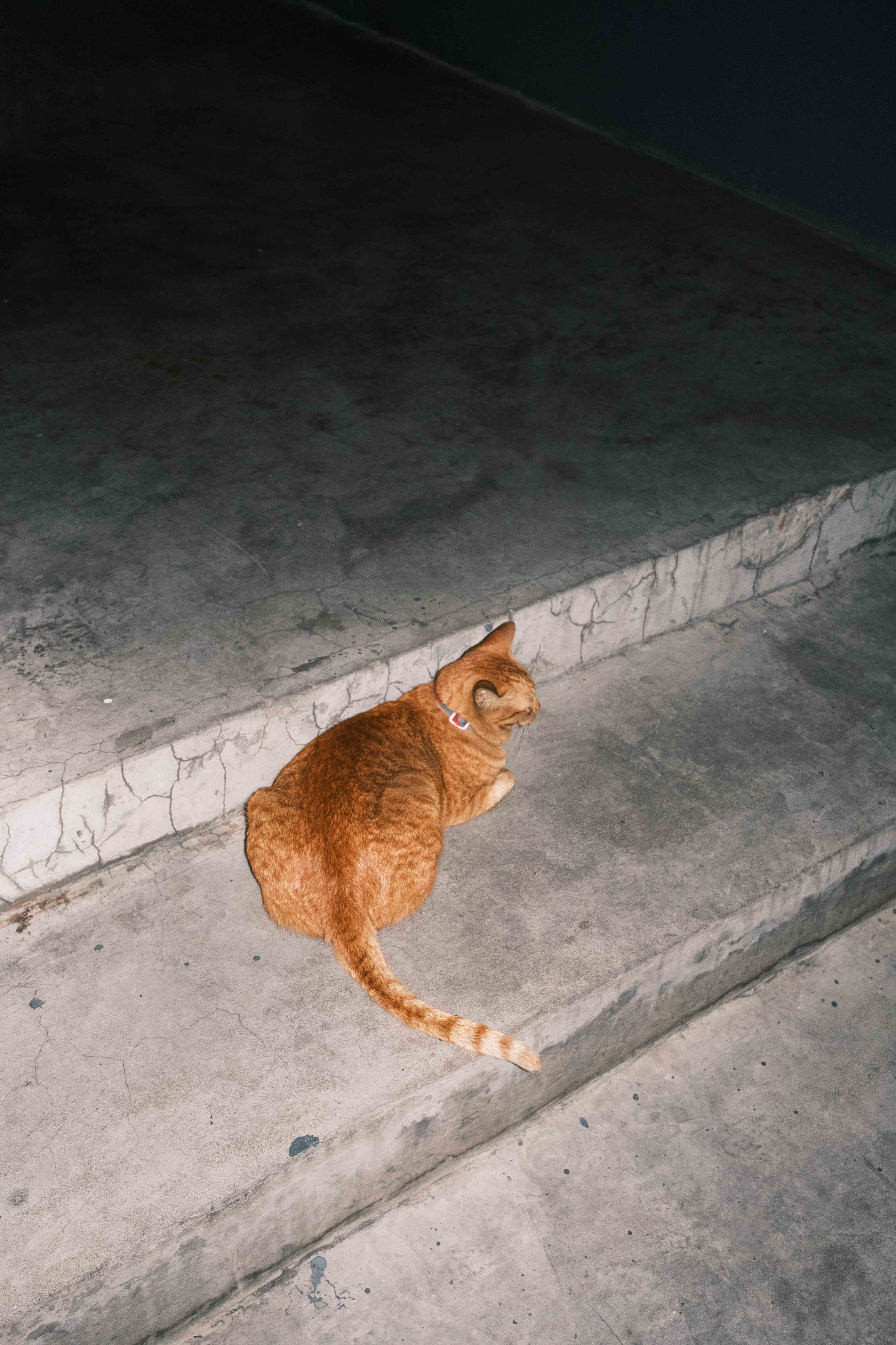 Bangkok Night photograph 2