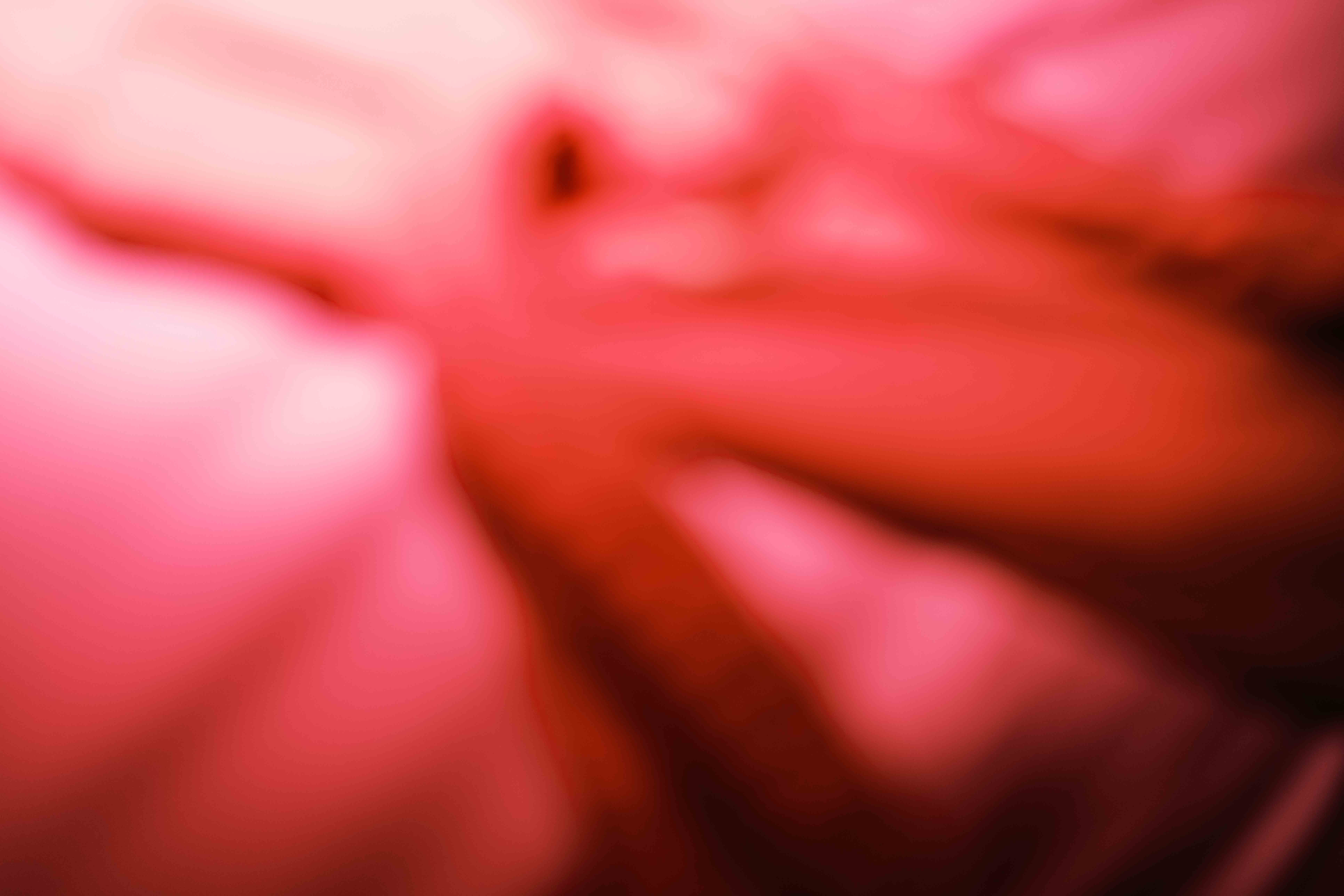 Bangkok Night photograph 9