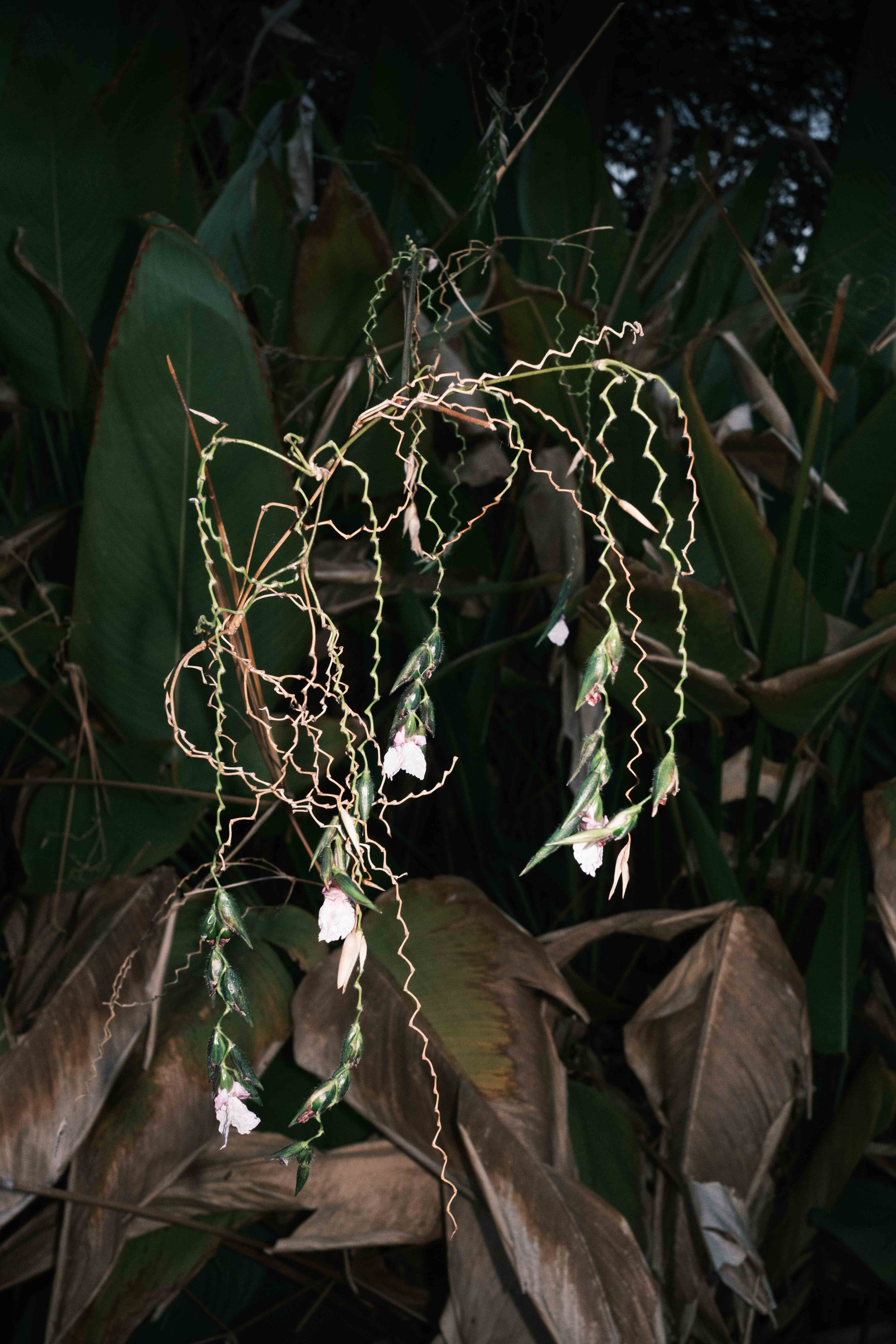 Bangkok Night photograph 11