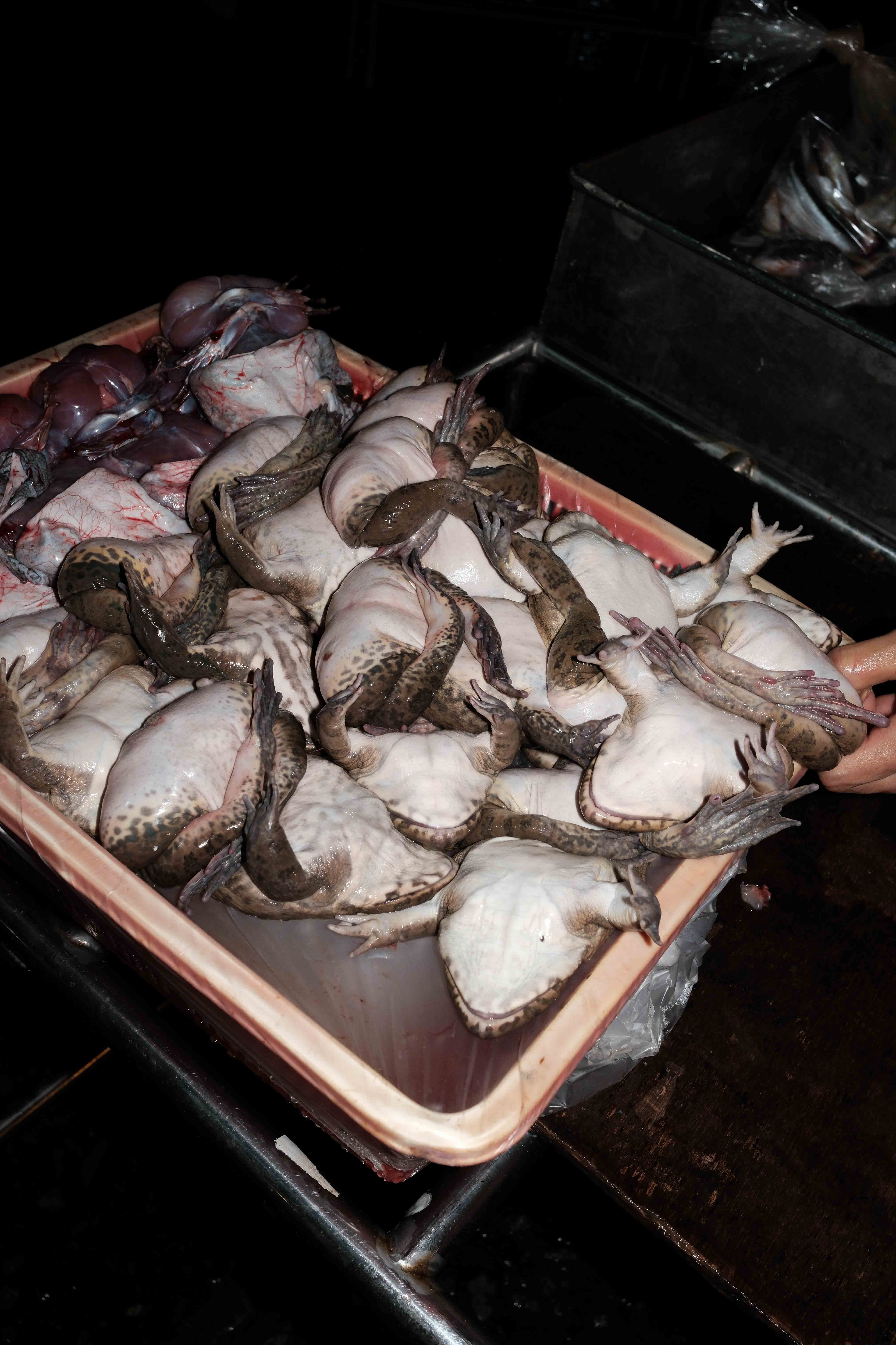 Bangkok Night photograph 18