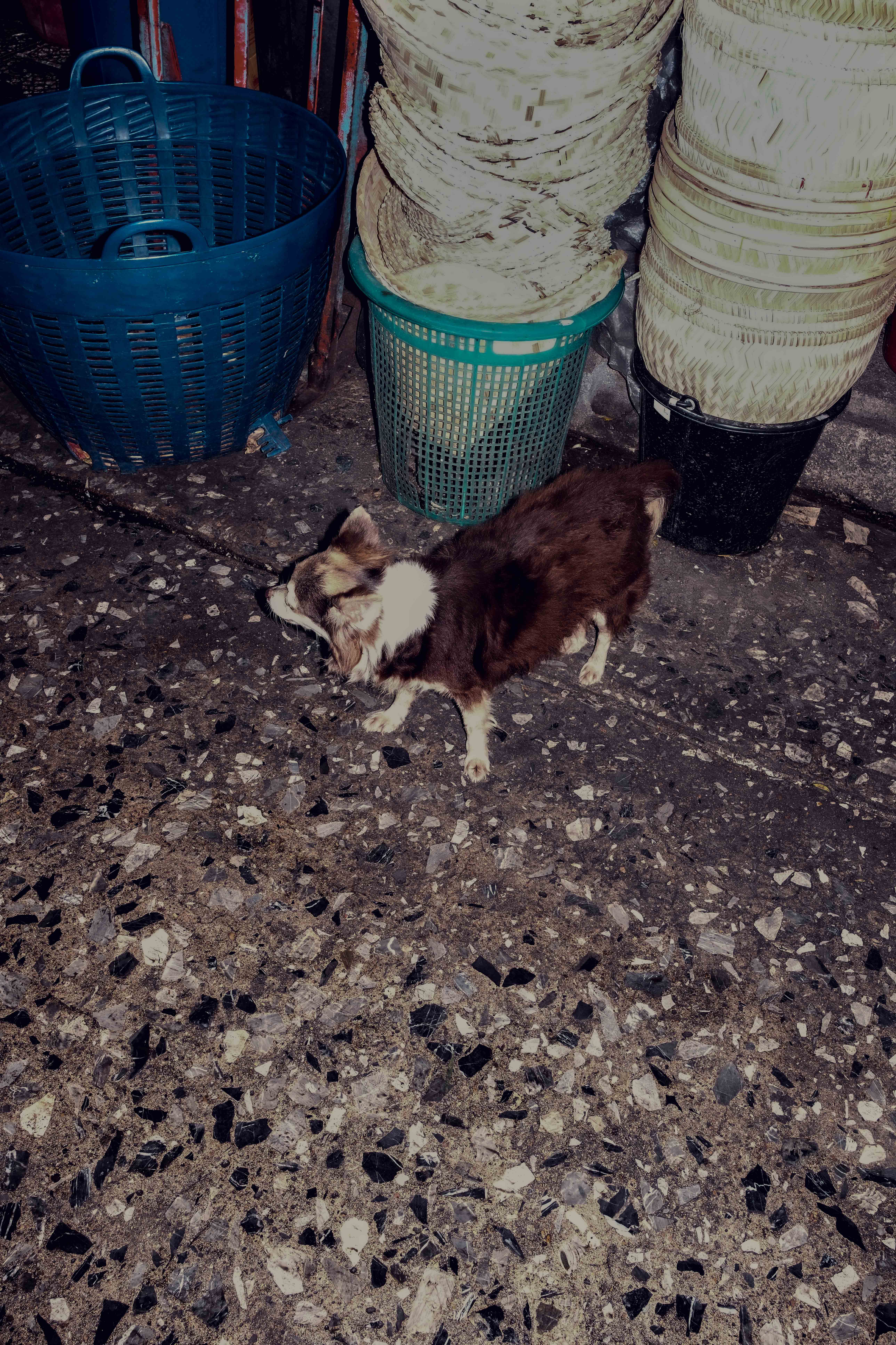 Bangkok Night photograph 19