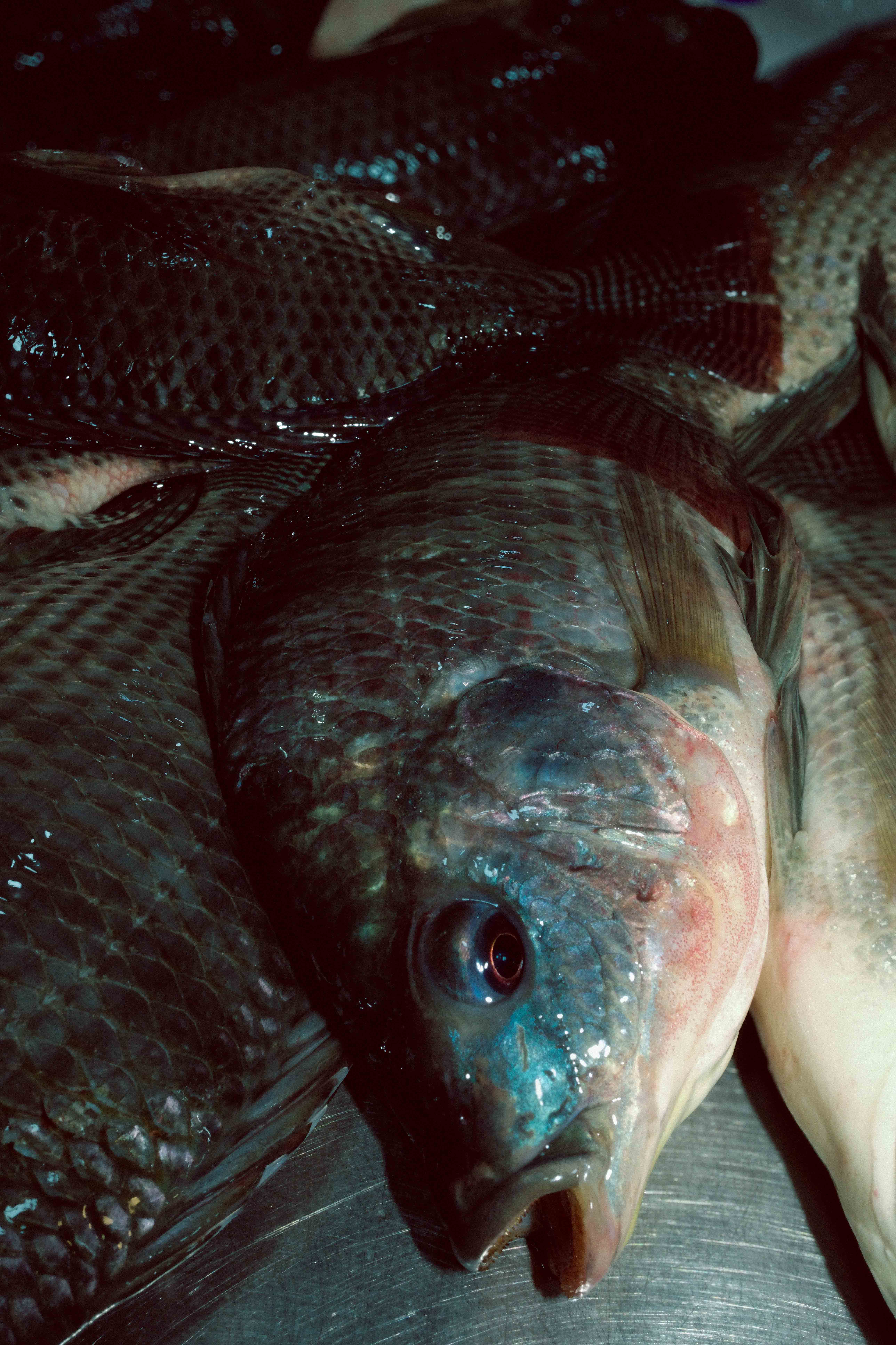 Bangkok Night photograph 21