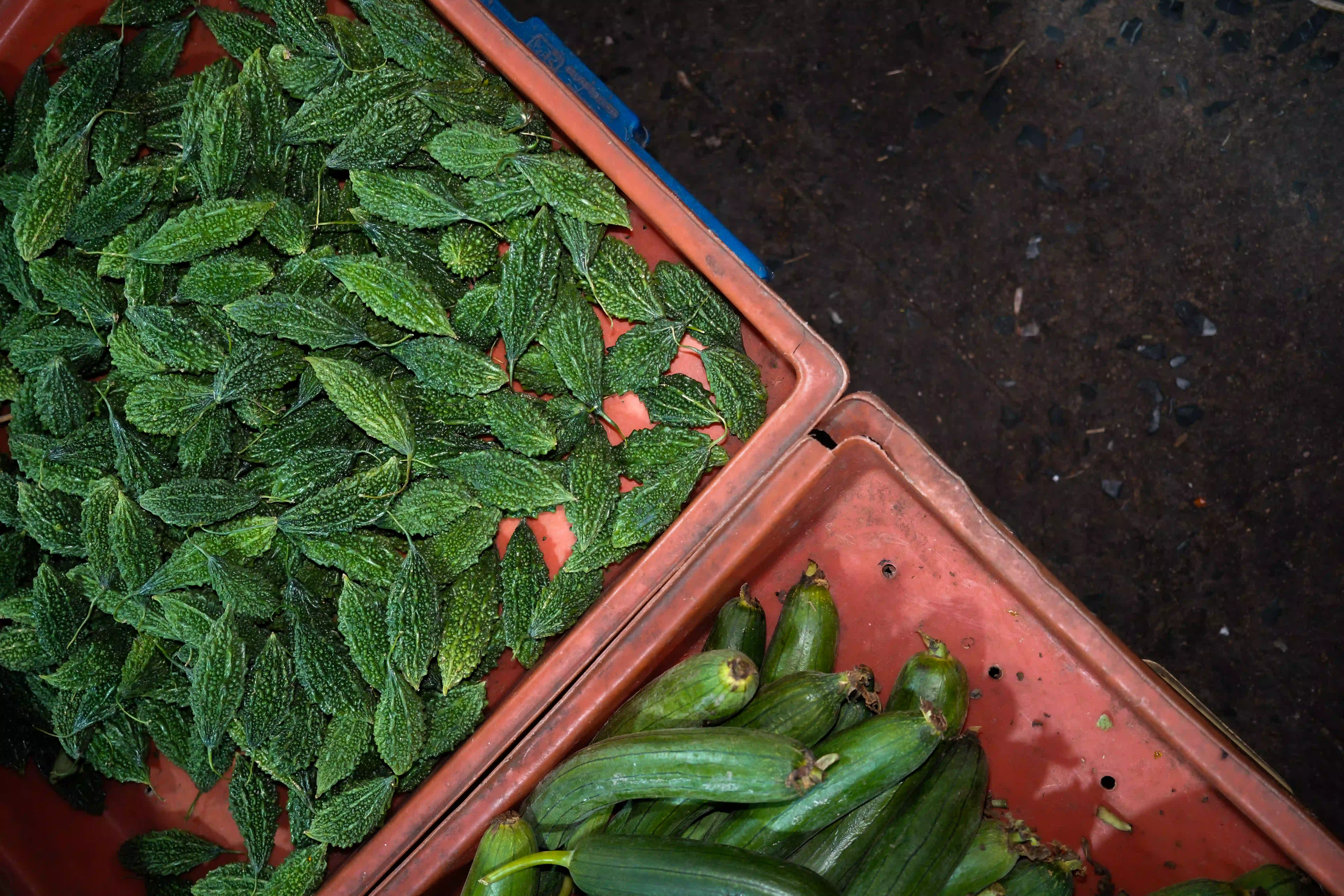 Gallery image for Bangkok Night