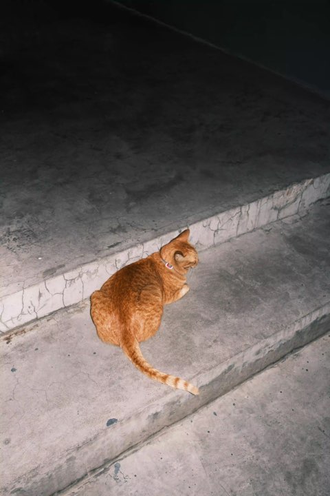 Gallery image for Bangkok Night