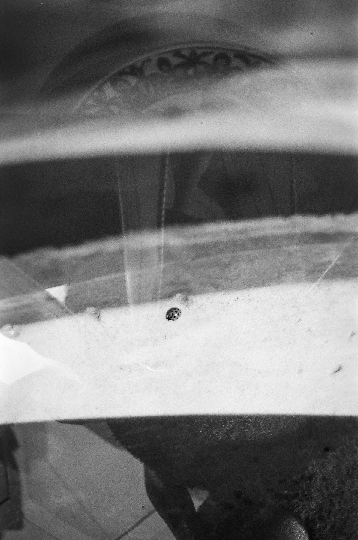 Berlin Double Expo Series photograph 25