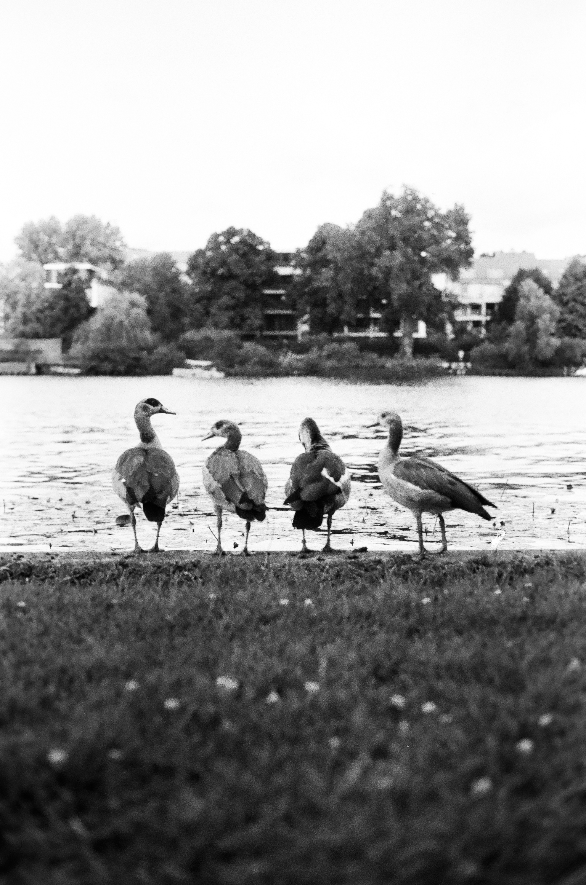 Berlin Double Expo Series photograph 3