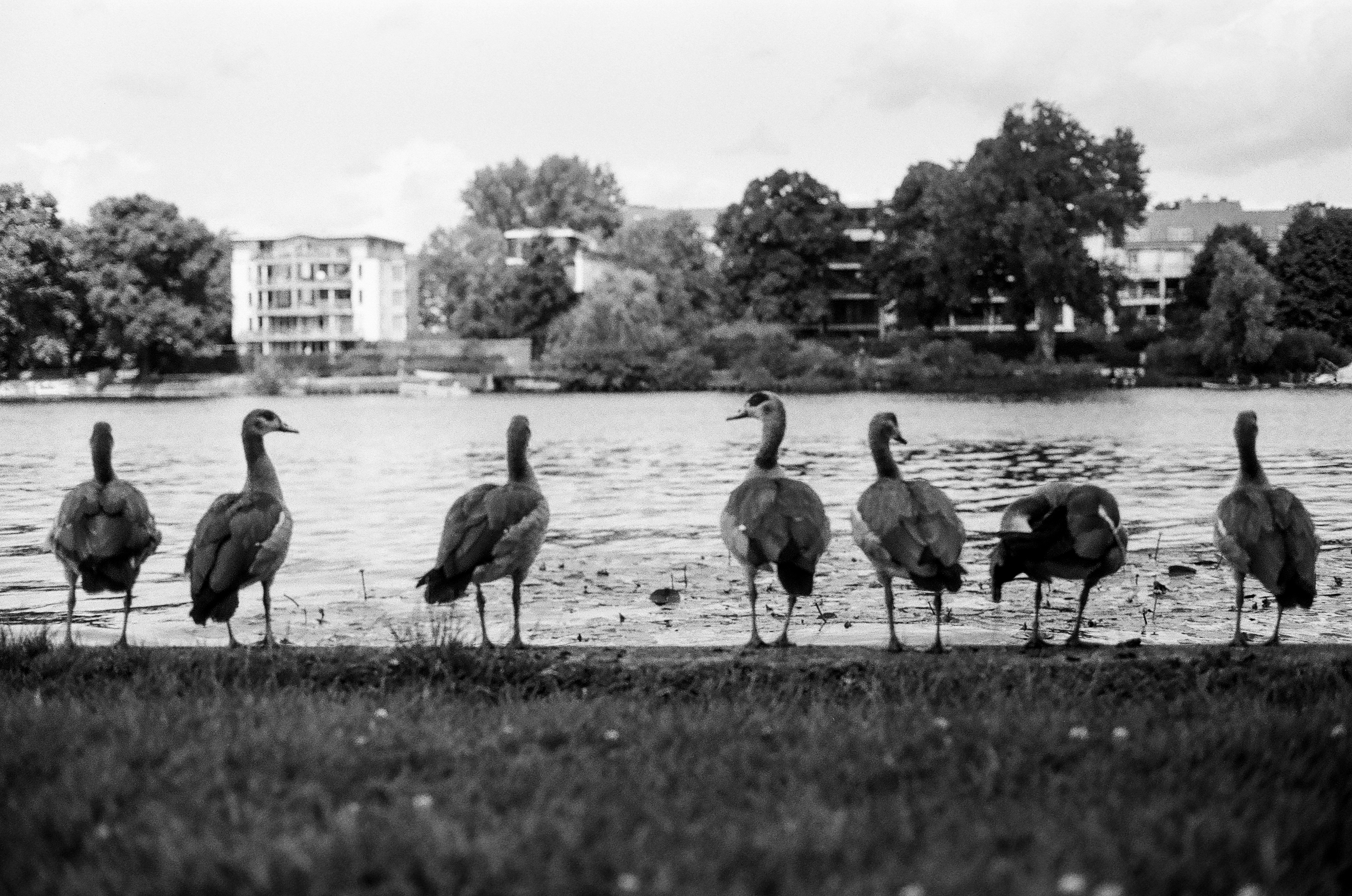 Berlin Double Expo Series photograph 4