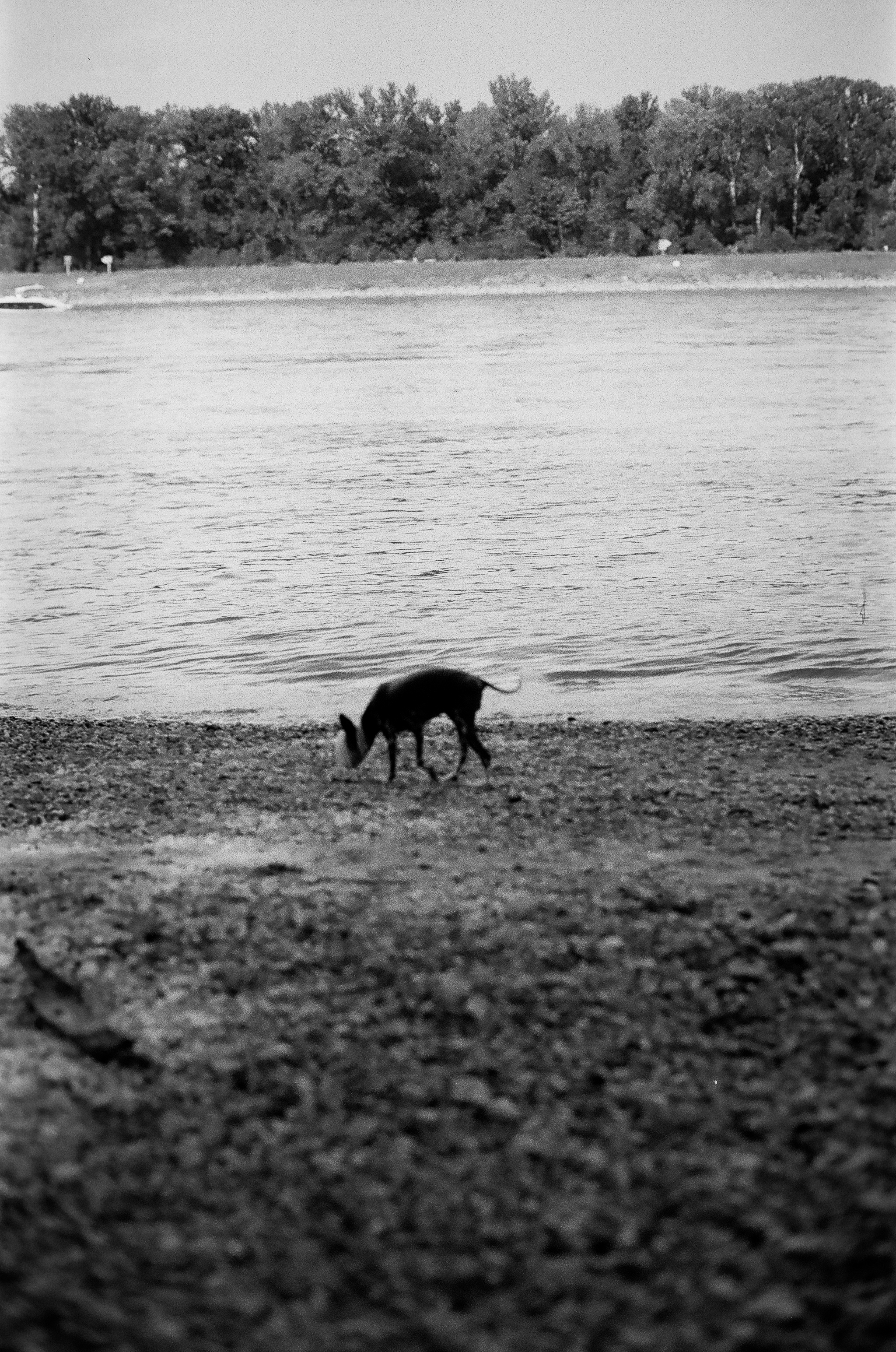 Berlin Double Expo Series photograph 6