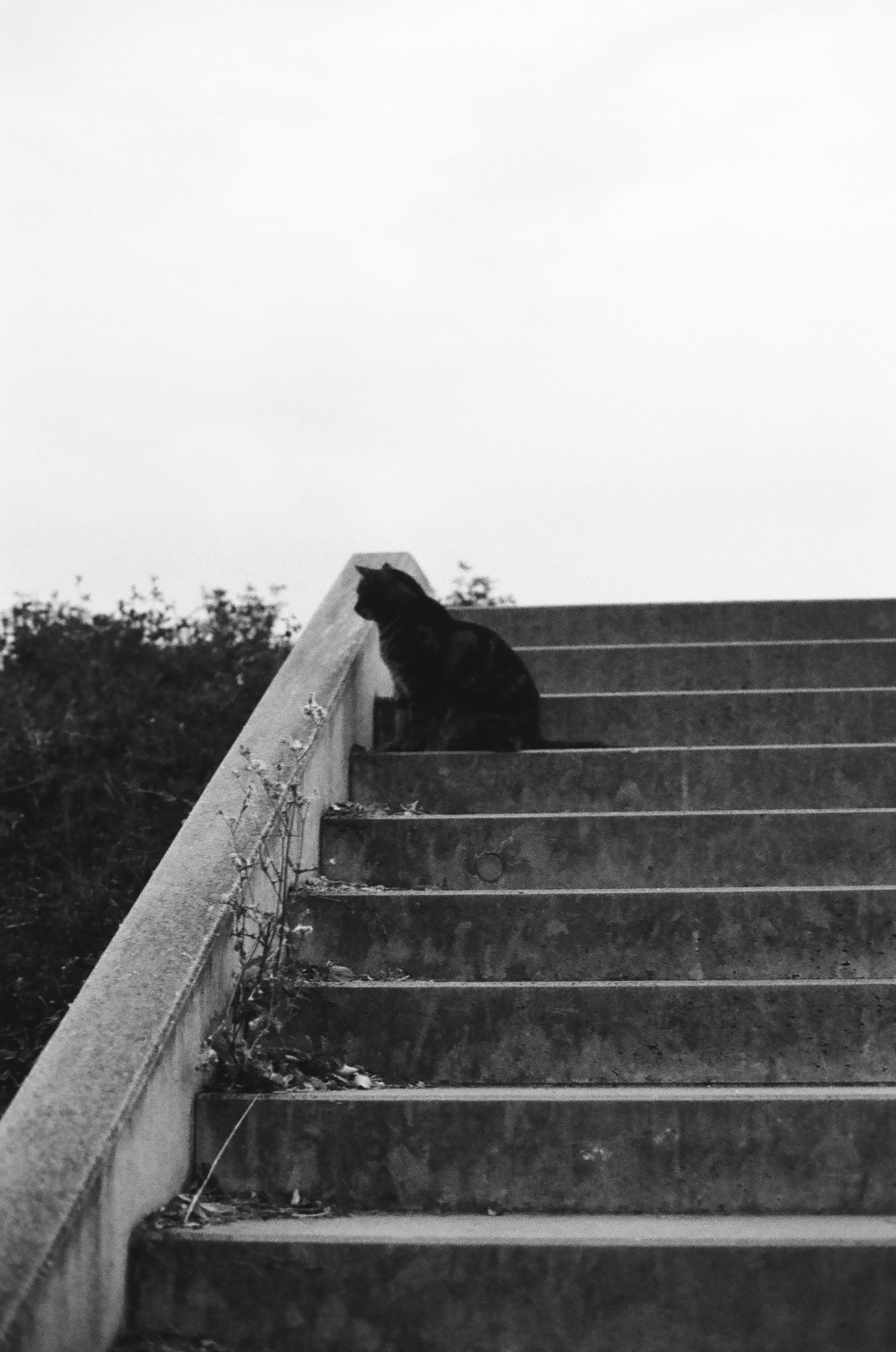 Berlin Double Expo Series photograph 9