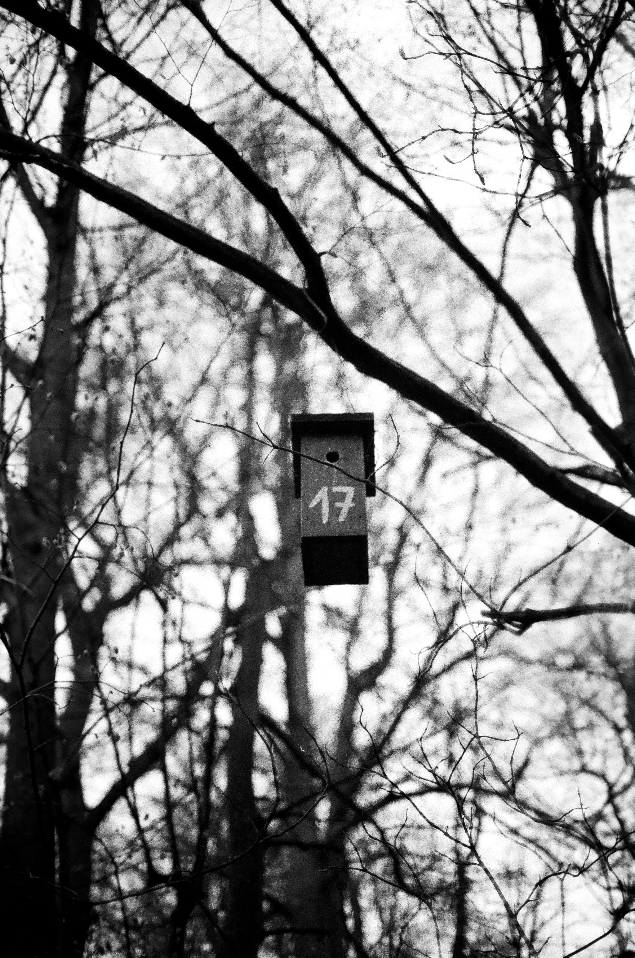 Berlin Double Expo Series photograph 15