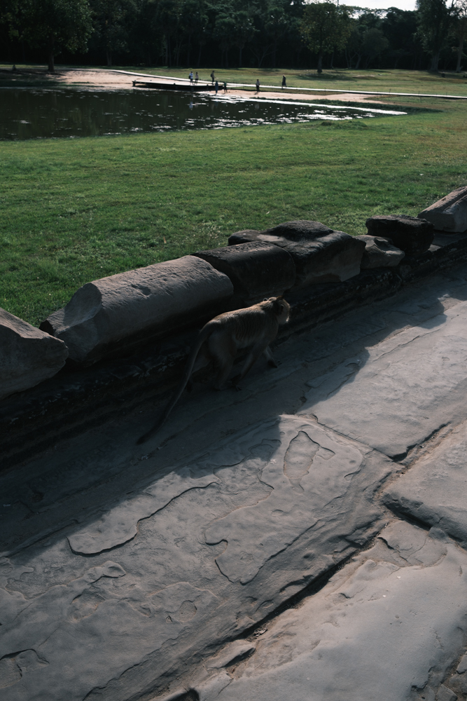 Cambodia Street photograph 11