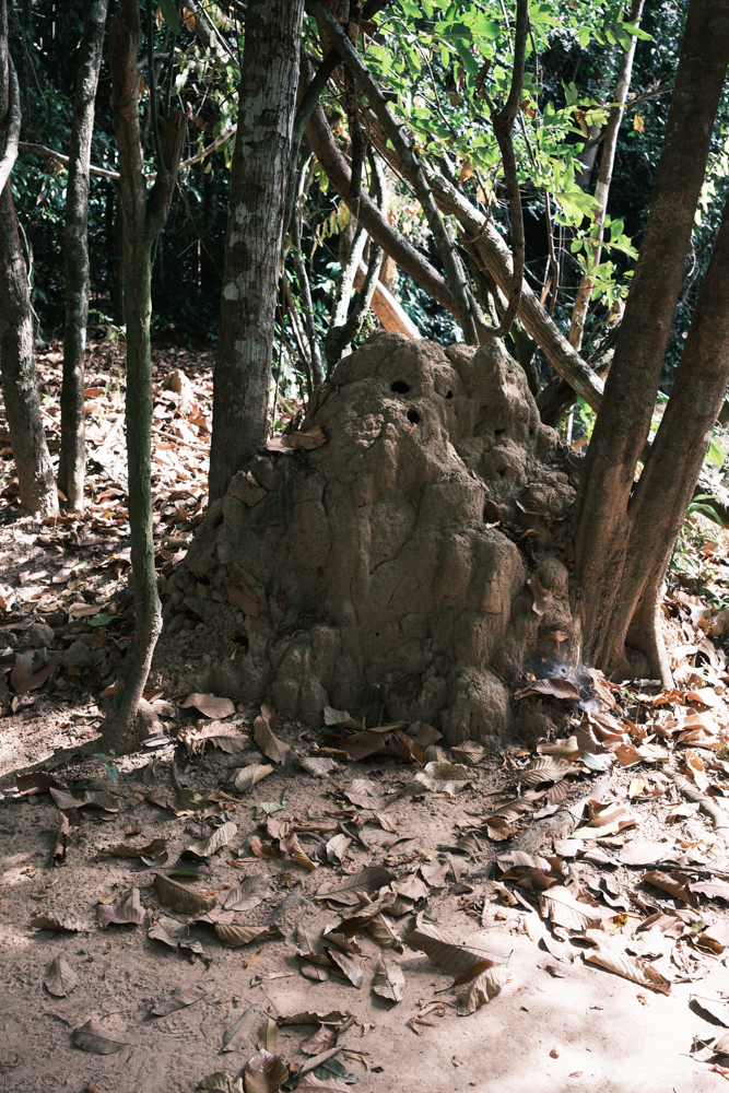 Cambodia Street photograph 28
