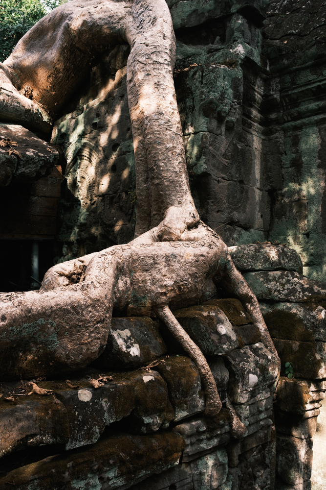 Cambodia Street photograph 33