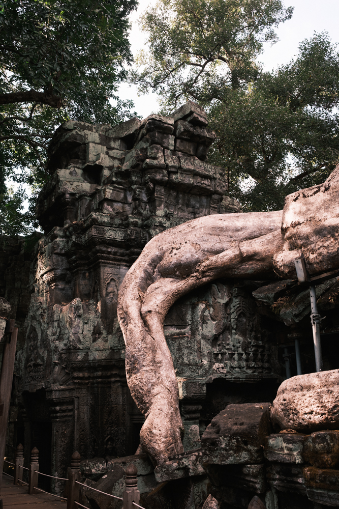 Cambodia Street photograph 34
