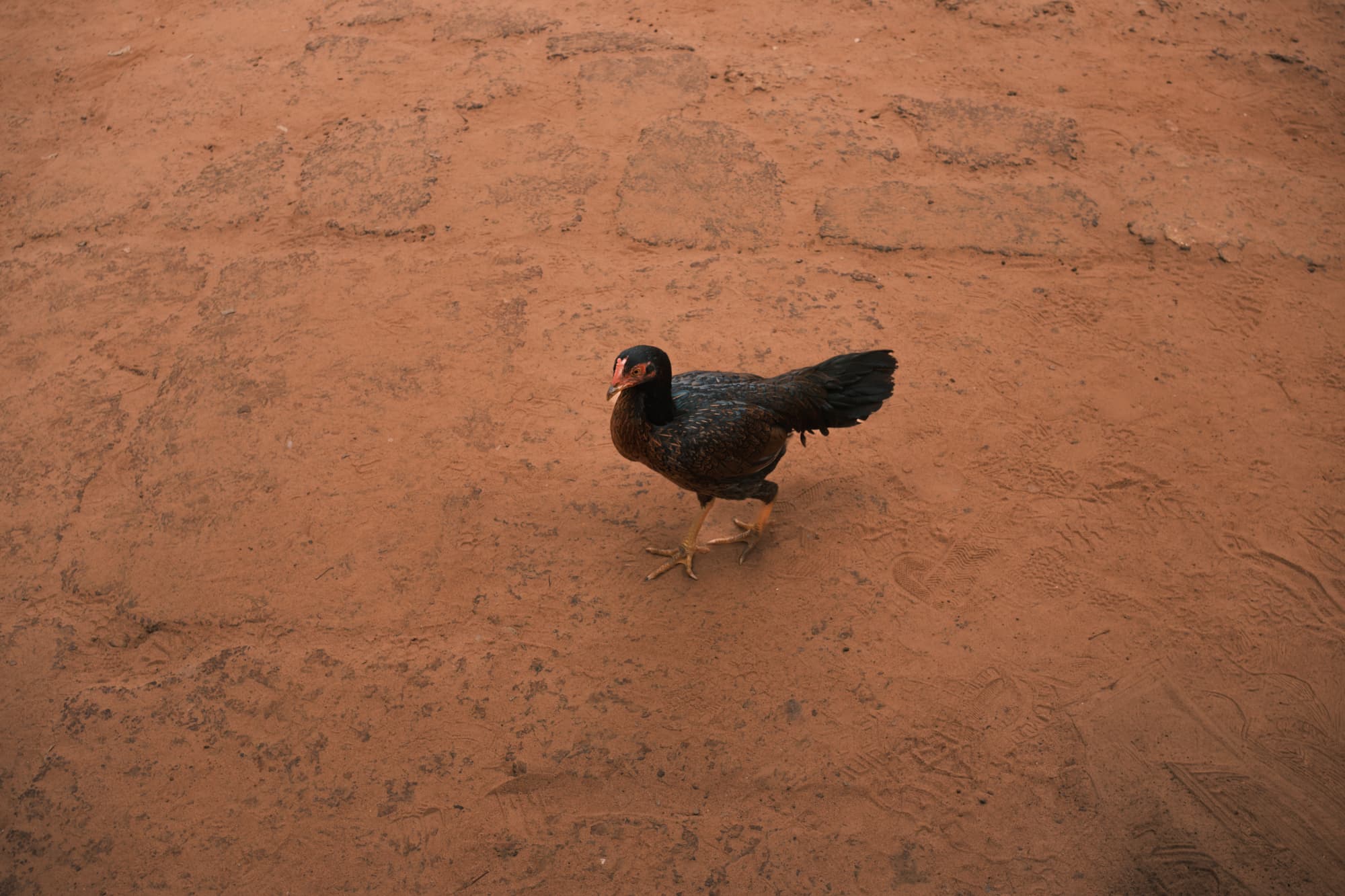 Cambodia Street photograph 36