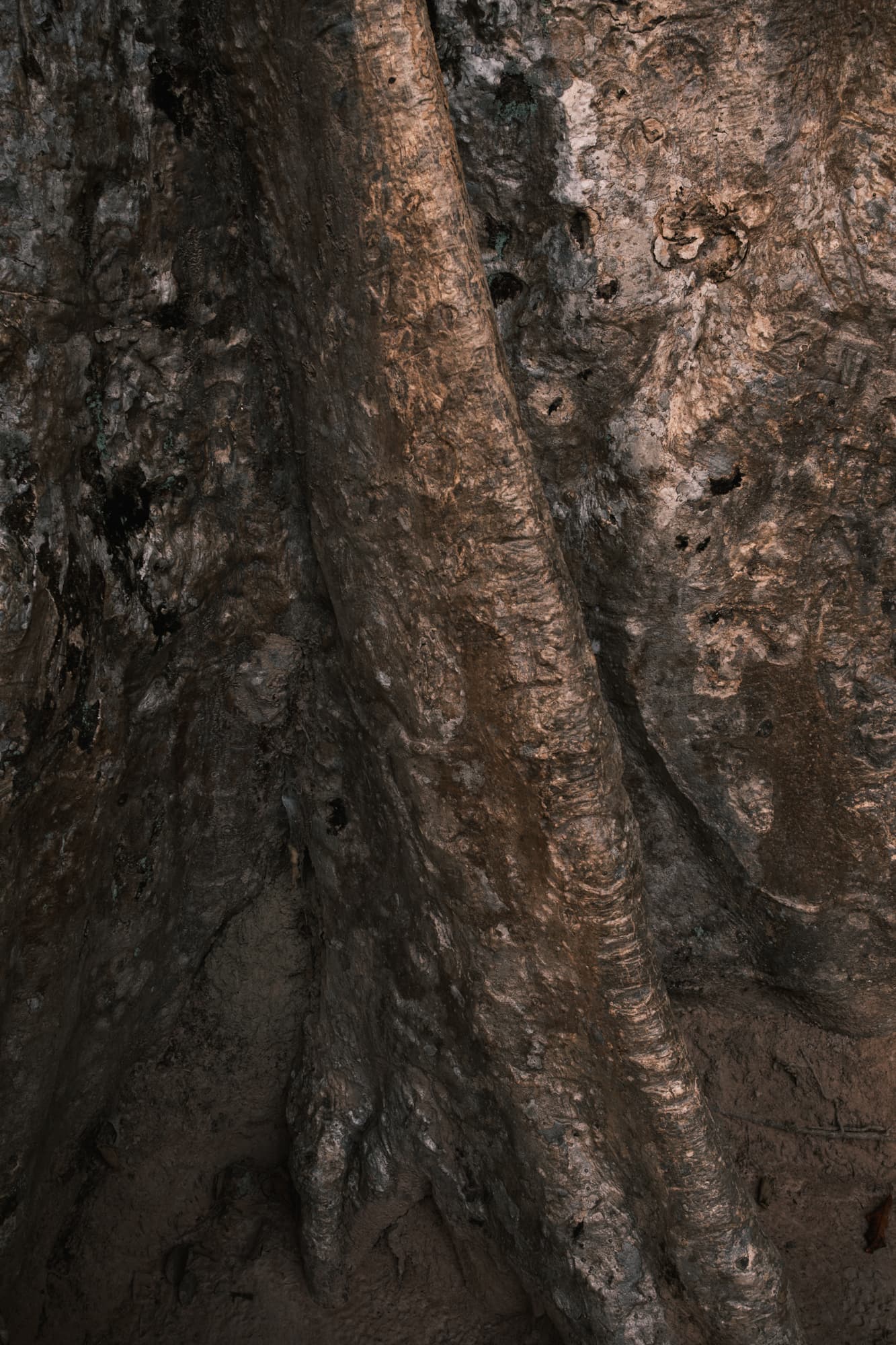 Cambodia Street photograph 37