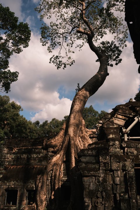 Cambodia Street