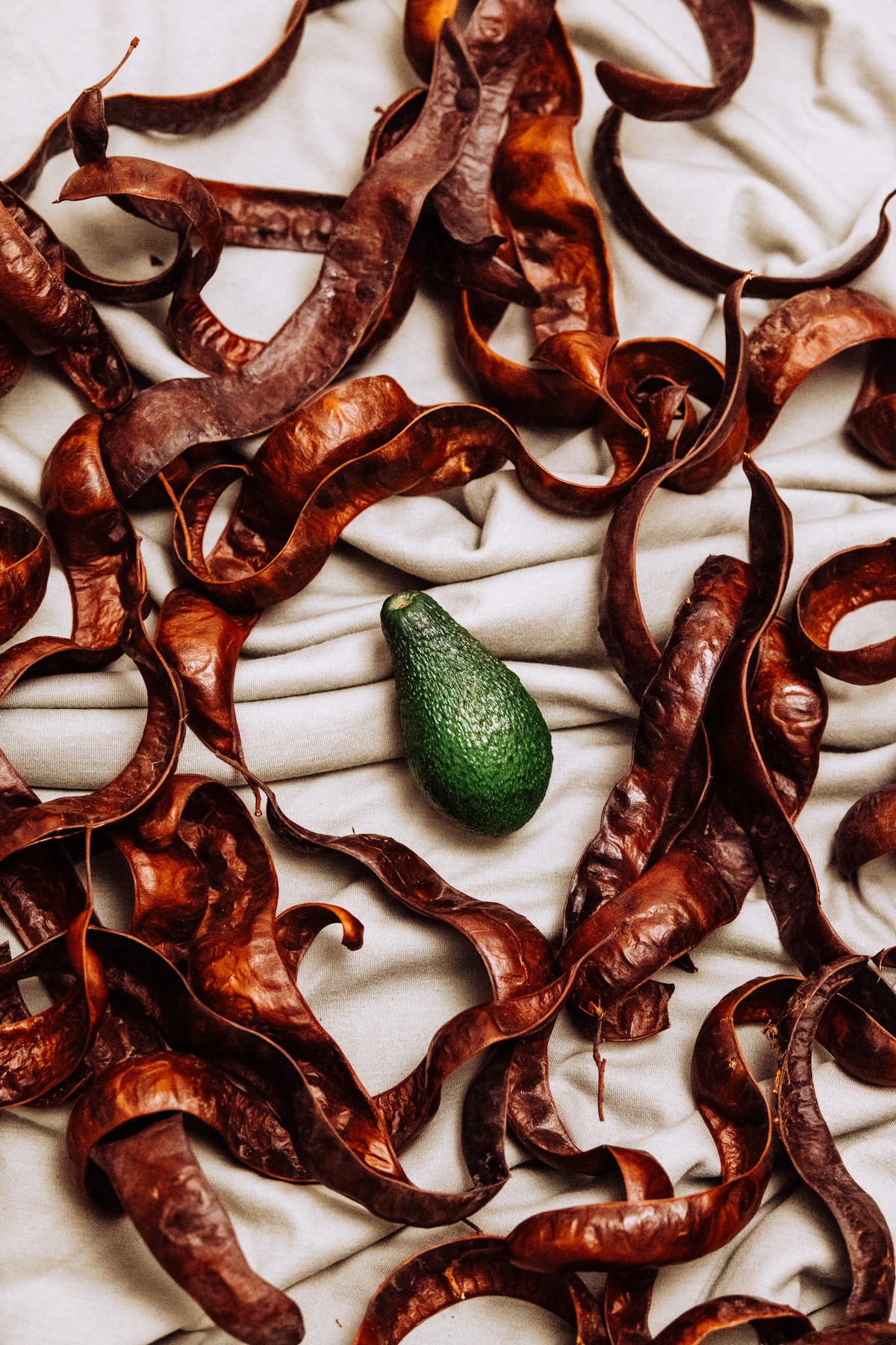 Decorative Food Still Life photograph 8