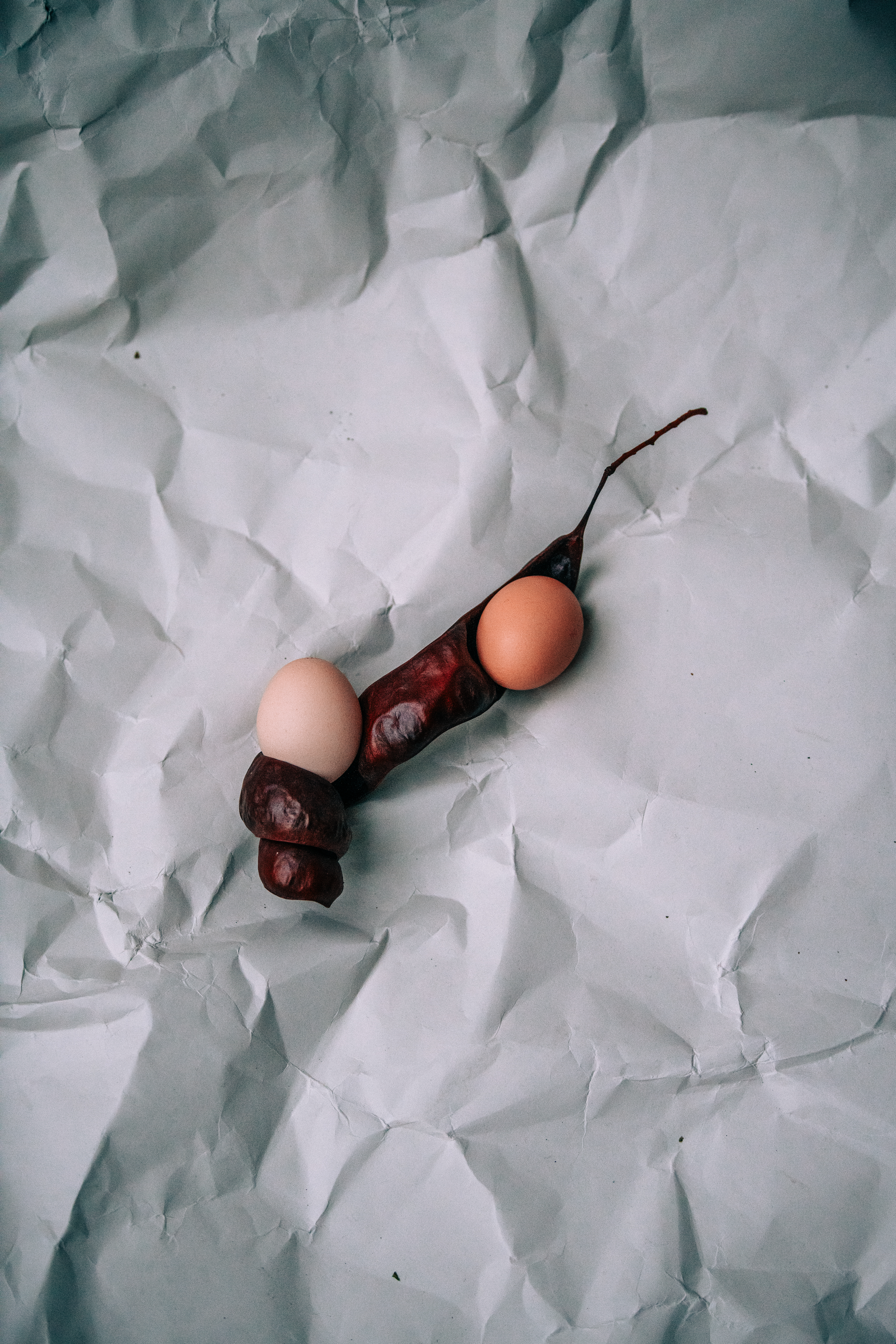 Decorative Food Still Life photograph 3