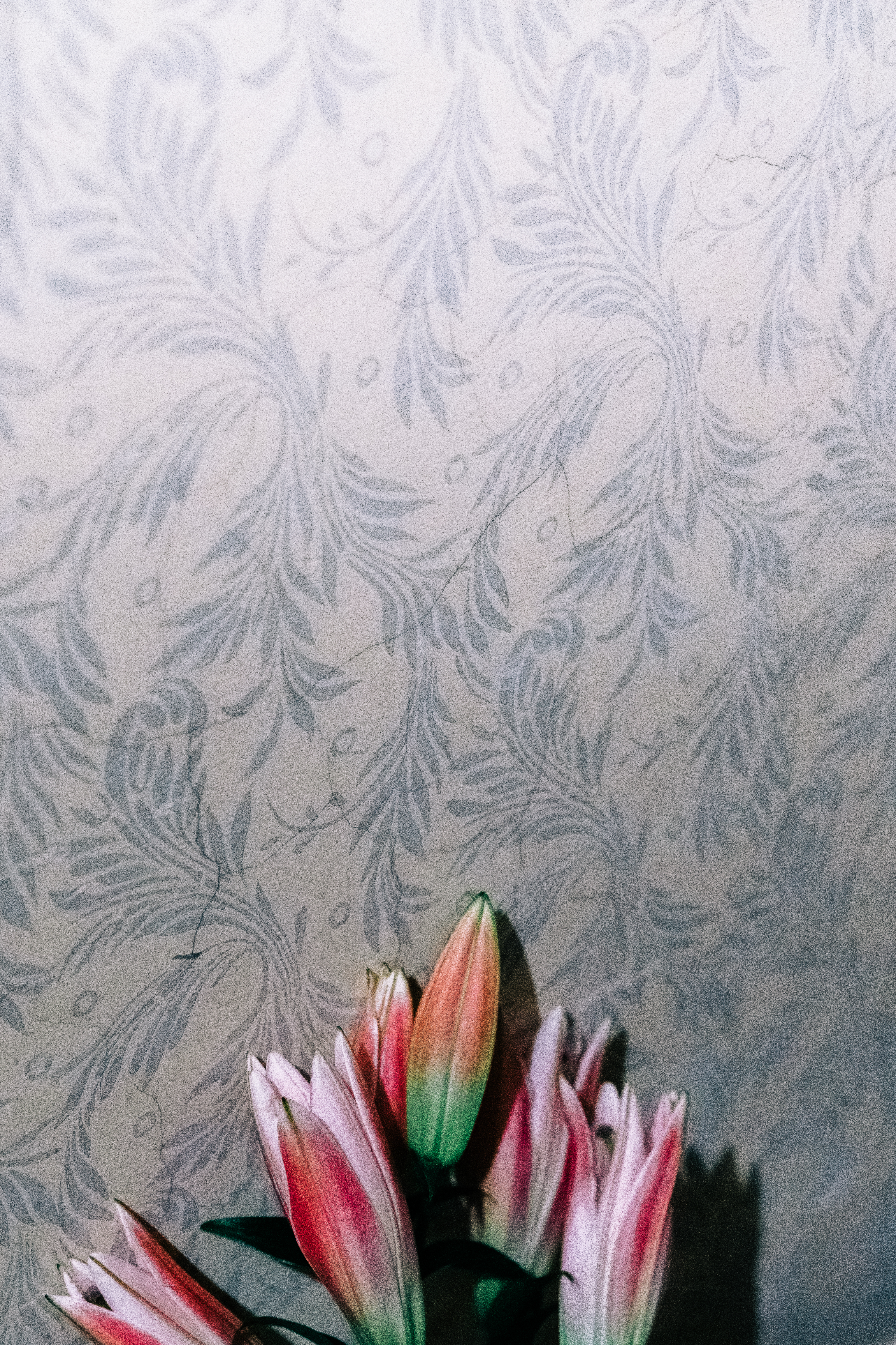 Decorative Food Still Life photograph 5