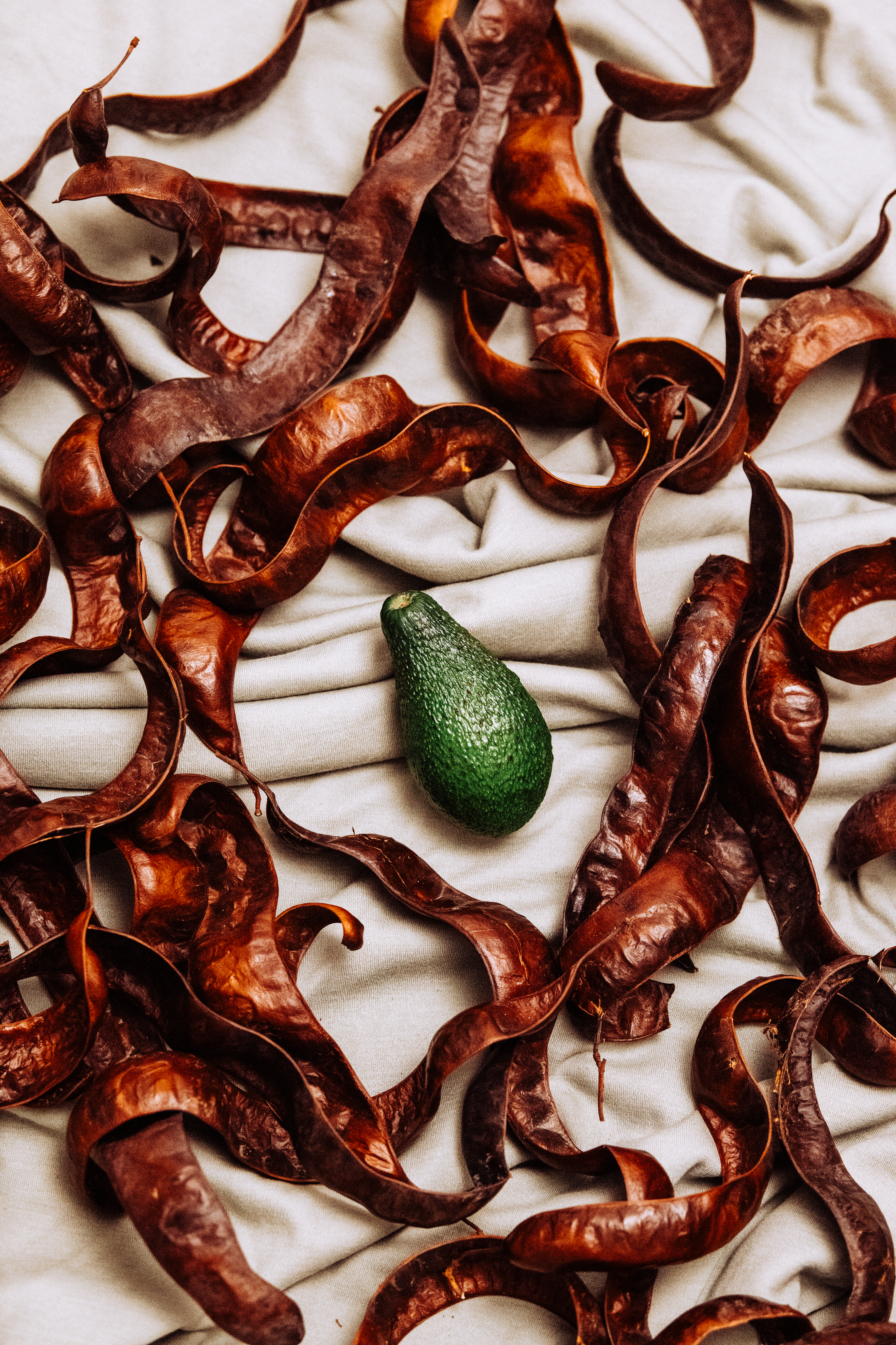 Decorative Food Still Life photograph 8