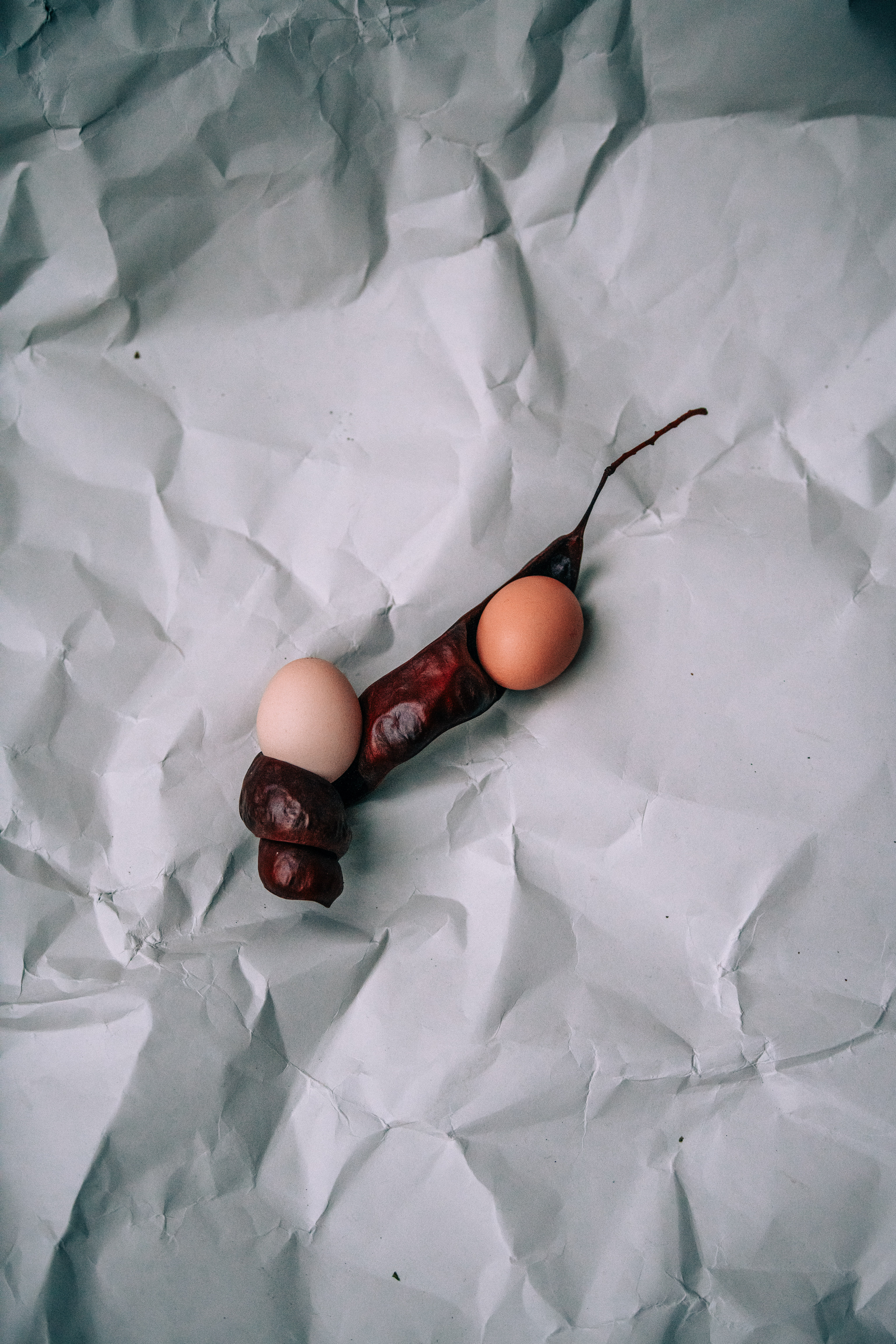 Gallery image for Decorative Food Still Life