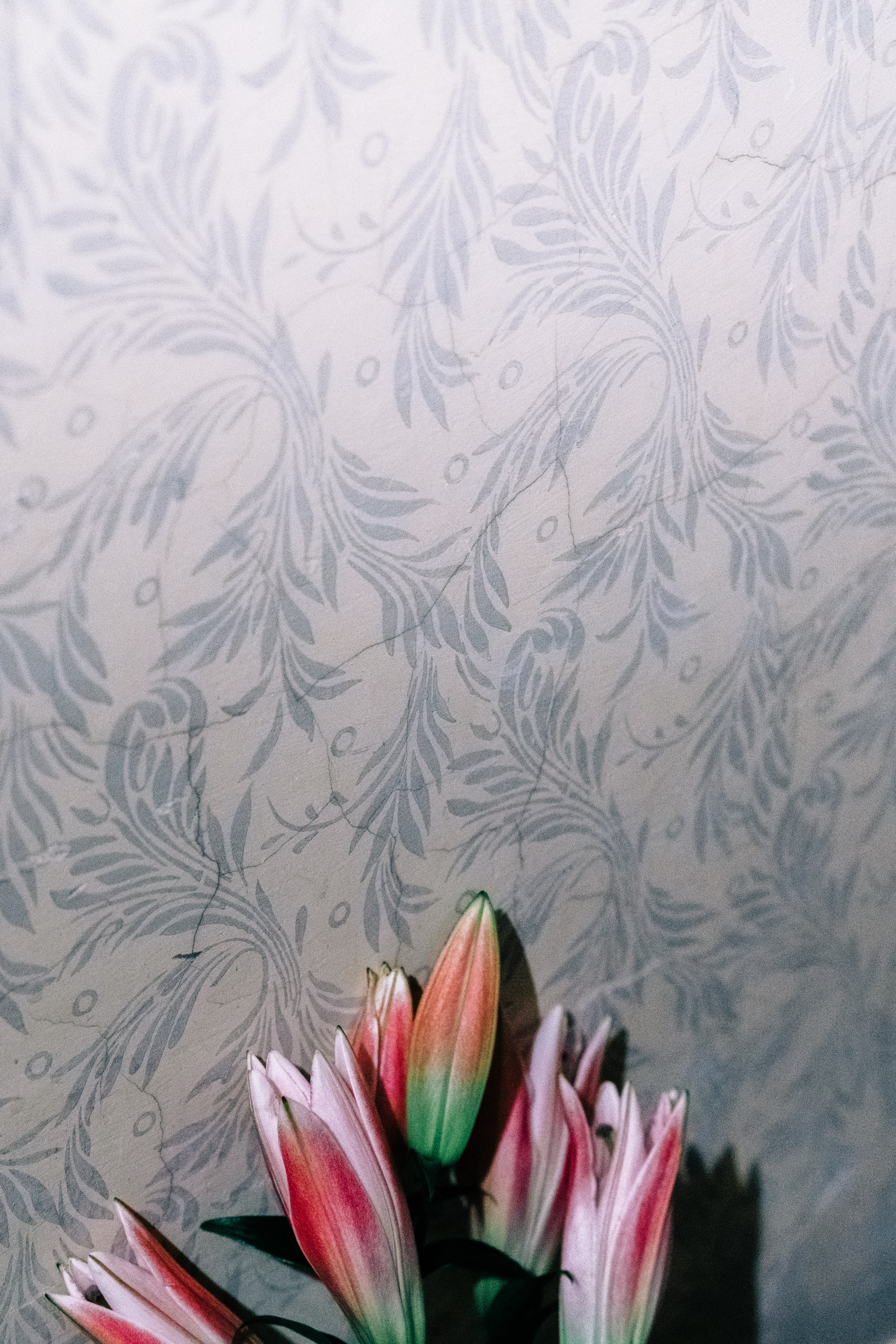 Gallery image for Decorative Food Still Life