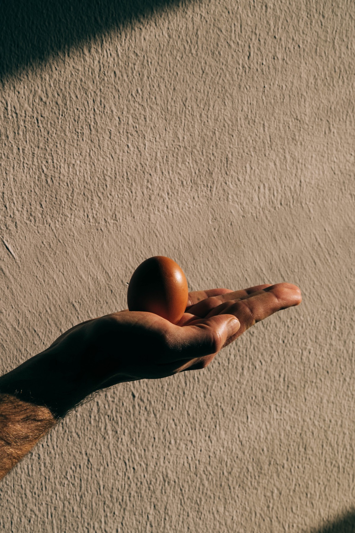 Egg photograph 1