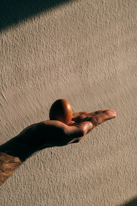 Gallery image for Egg