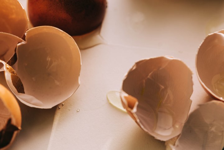 Gallery image for Egg