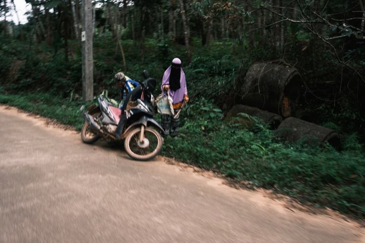 Forest photograph 5