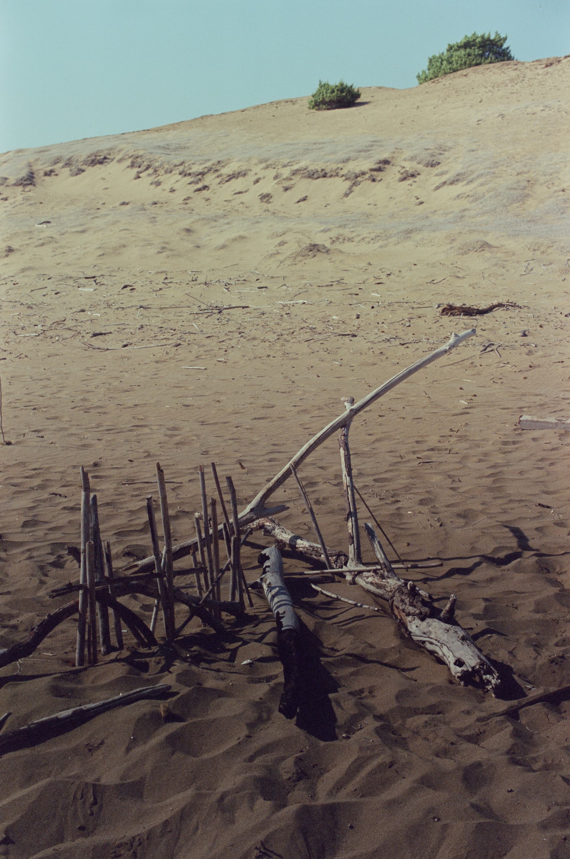 Gallery image for Pastel Corfu