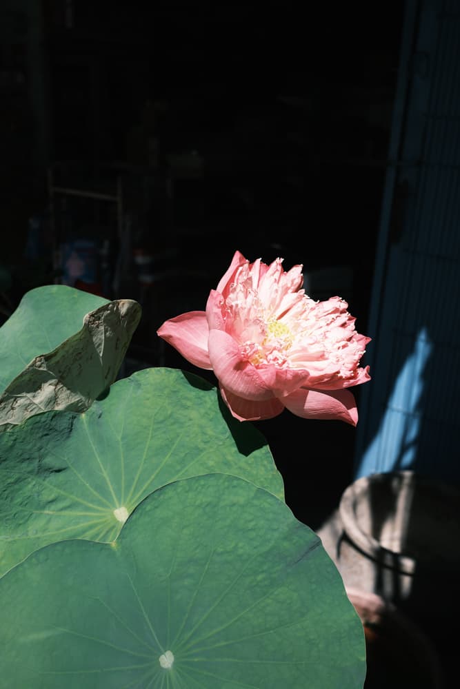 Gallery image for Phuket