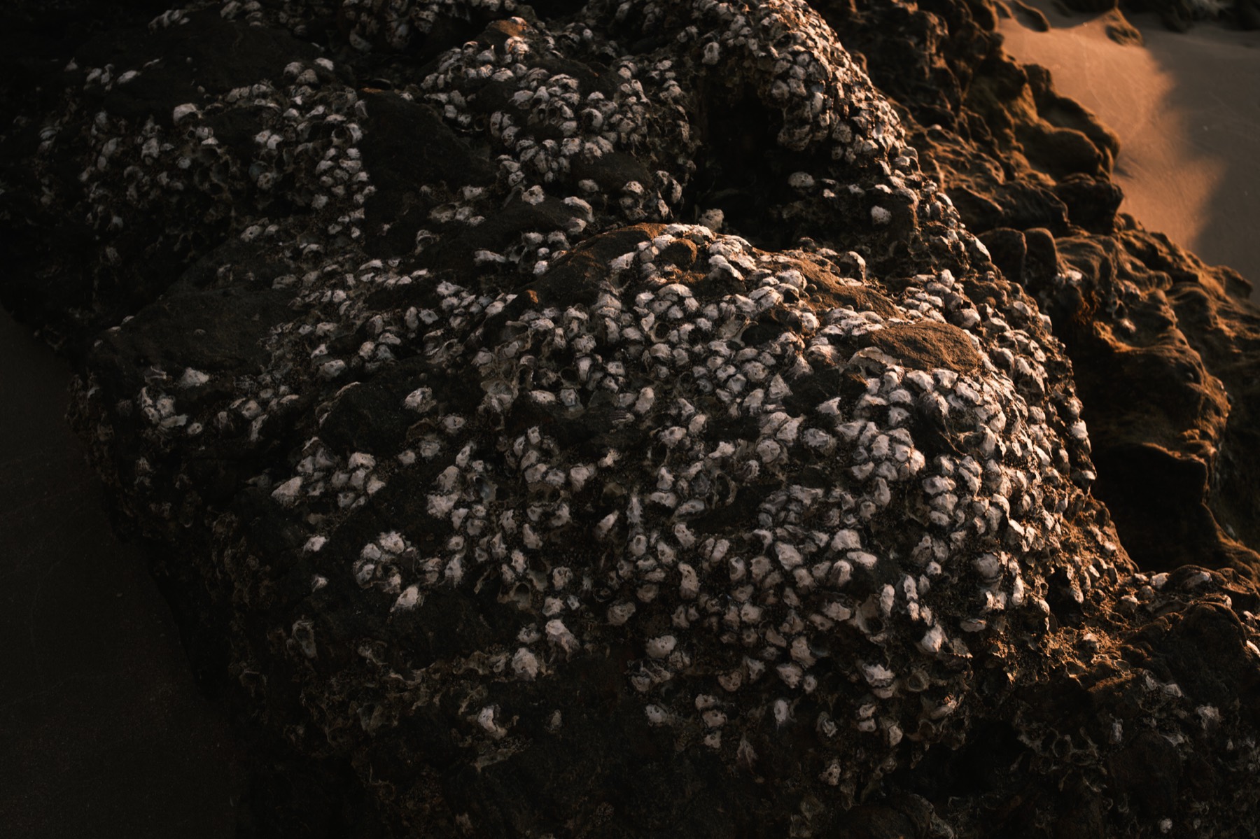Stones photograph 4