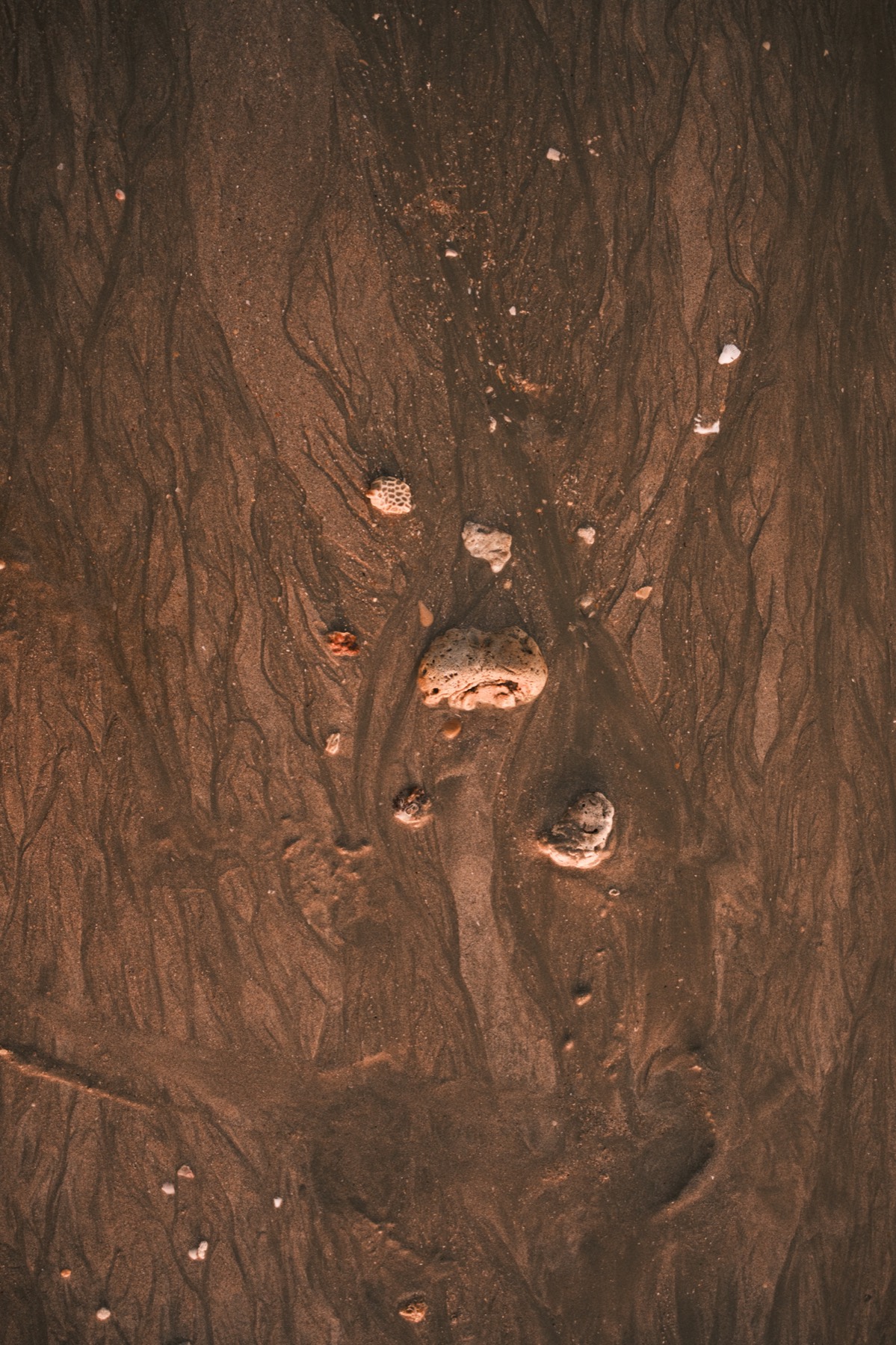 Stones photograph 24