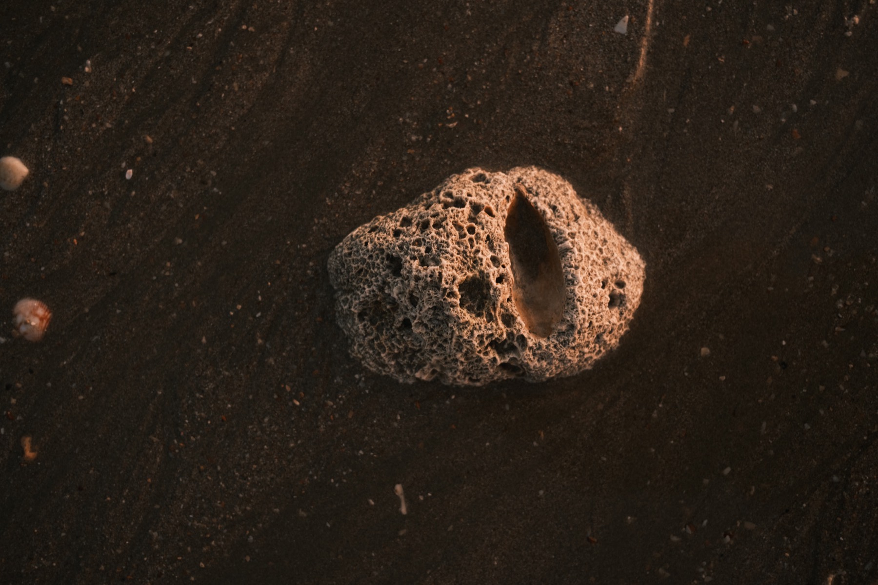 Stones photograph 29