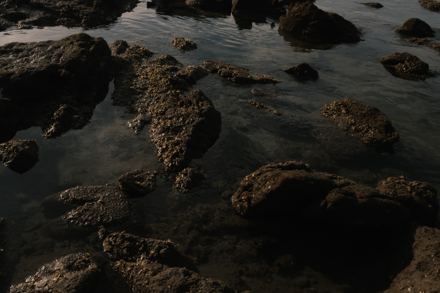 Stones photograph 38