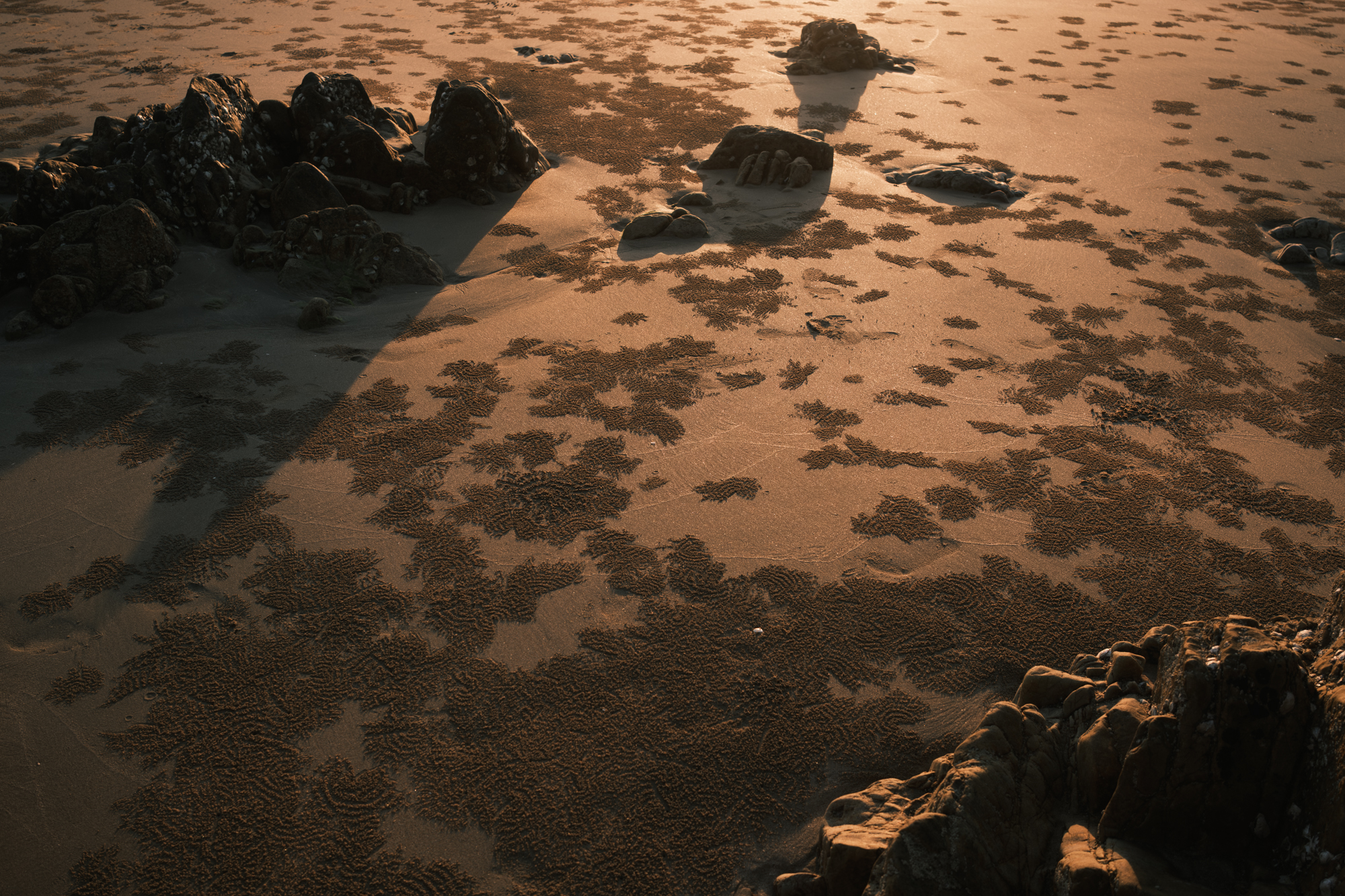 Stones photograph 16