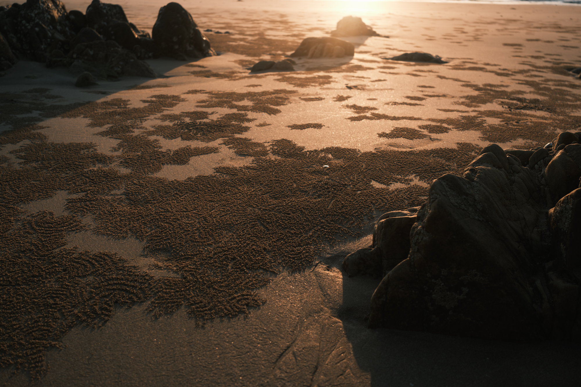 Stones photograph 17