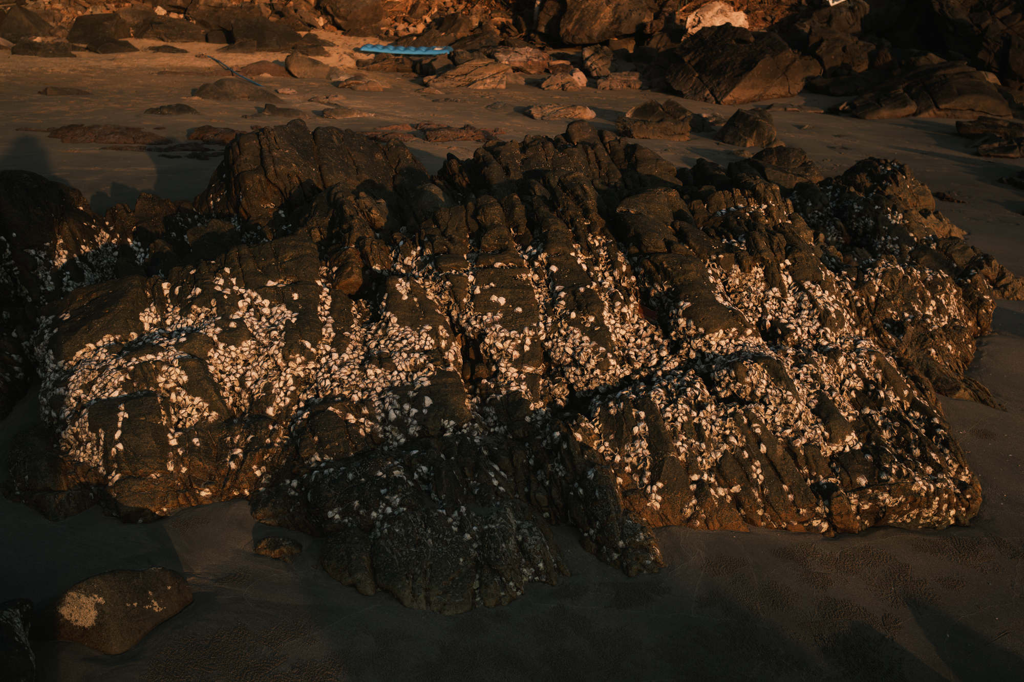 Stones photograph 20