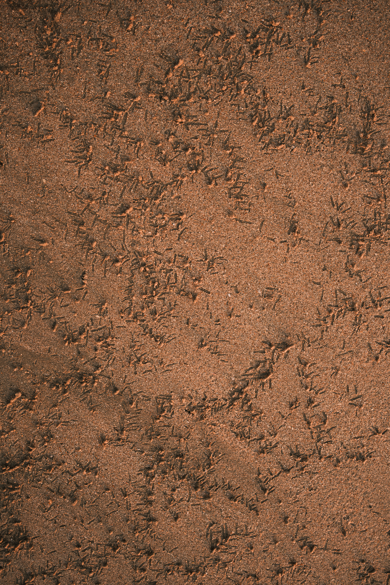 Stones photograph 21