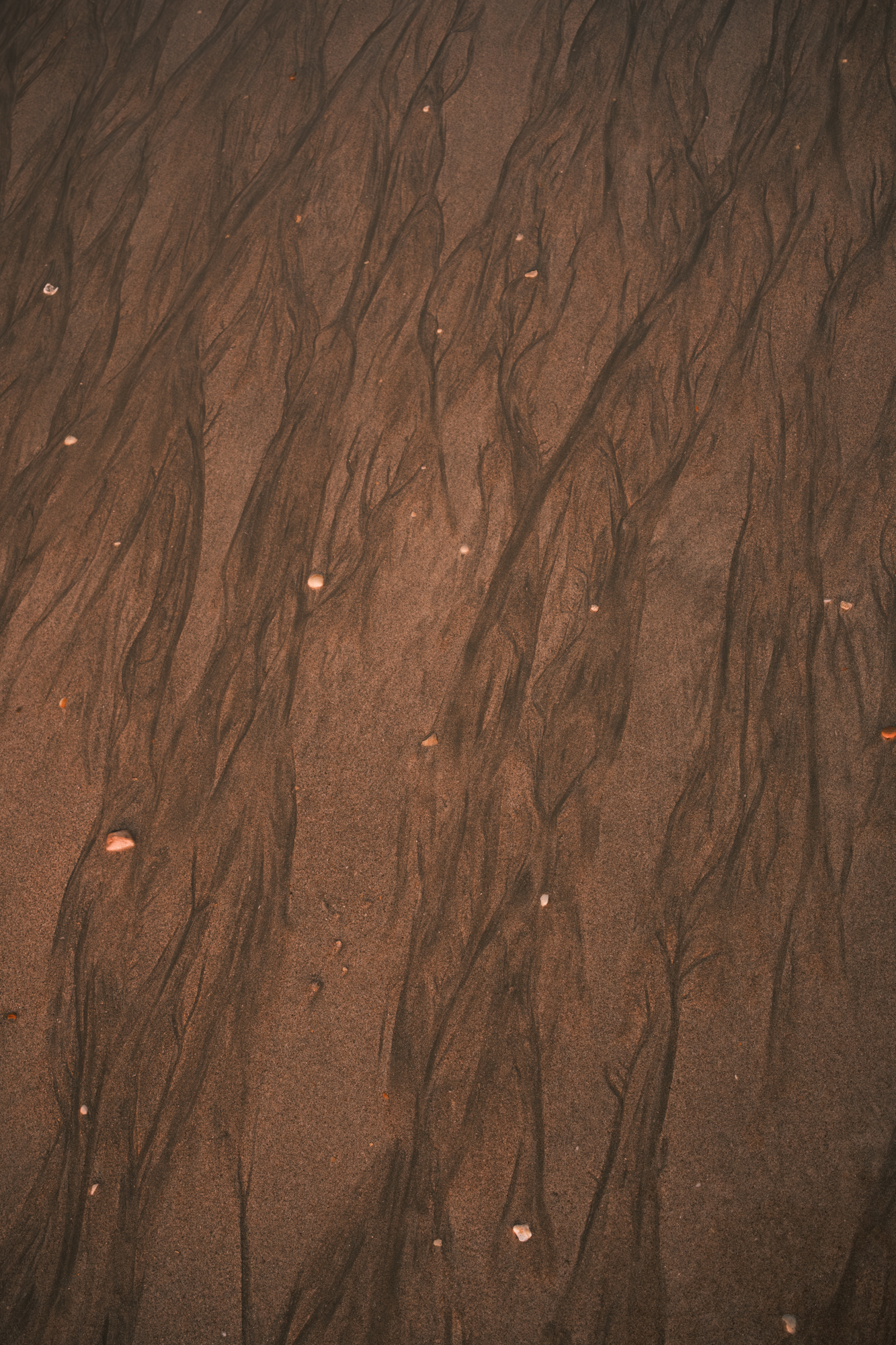 Stones photograph 23