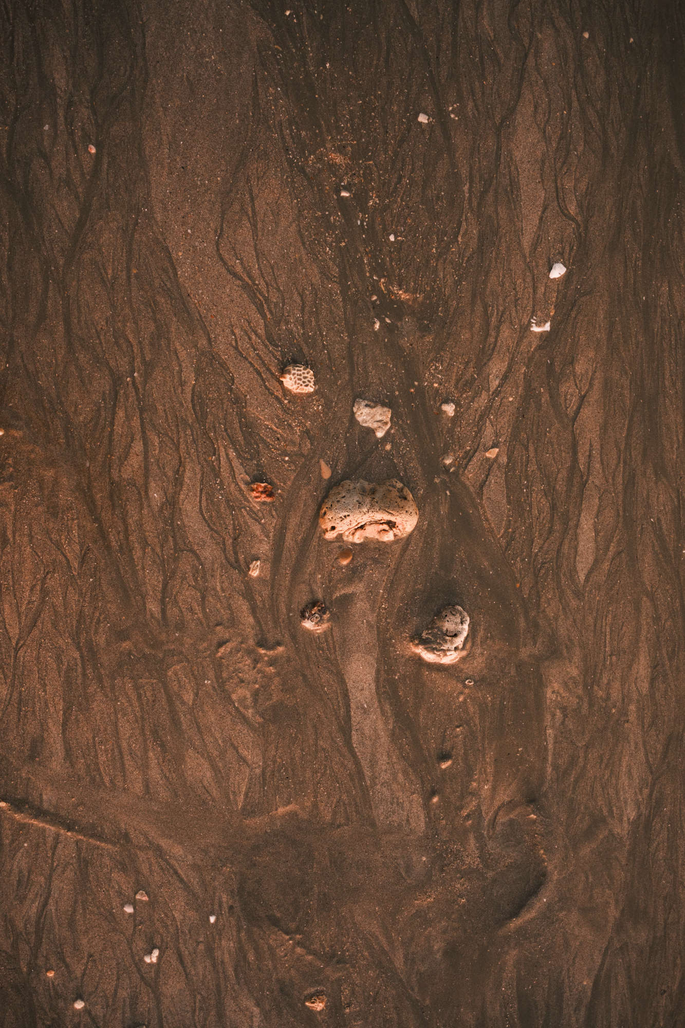 Stones photograph 24