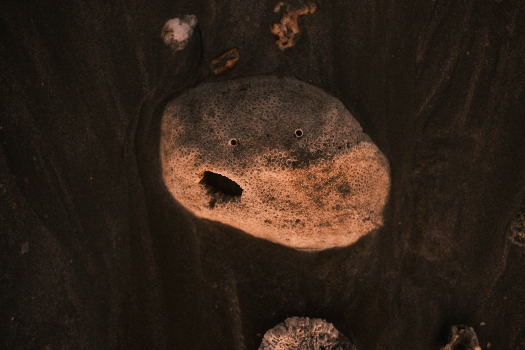 Stones photograph 27