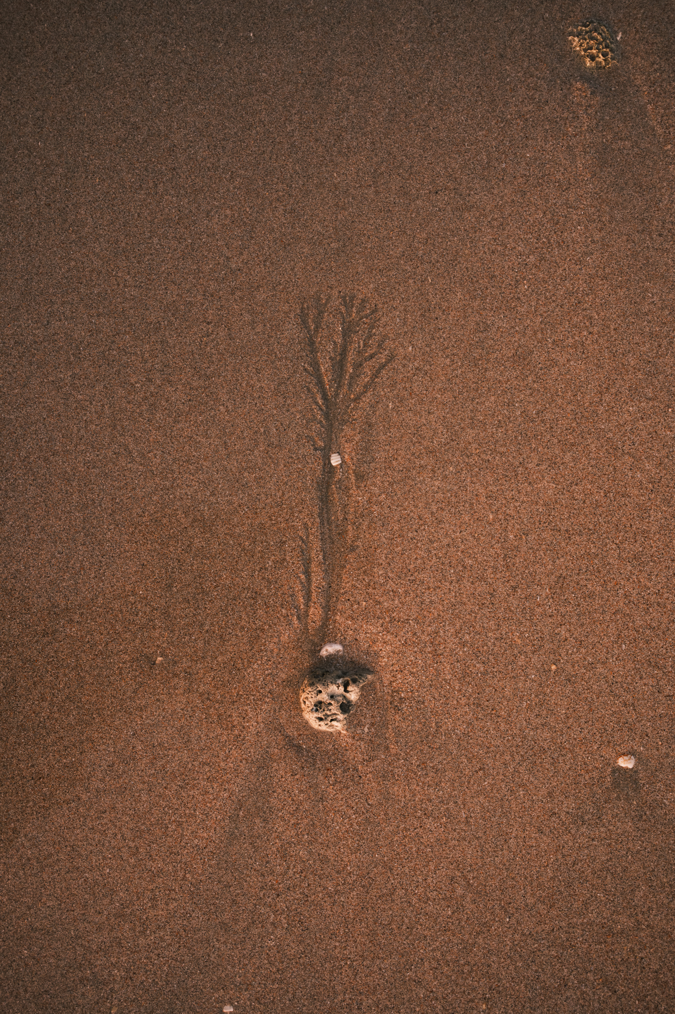 Stones photograph 28