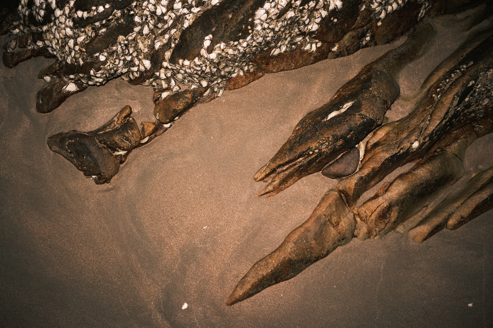 Stones photograph 30