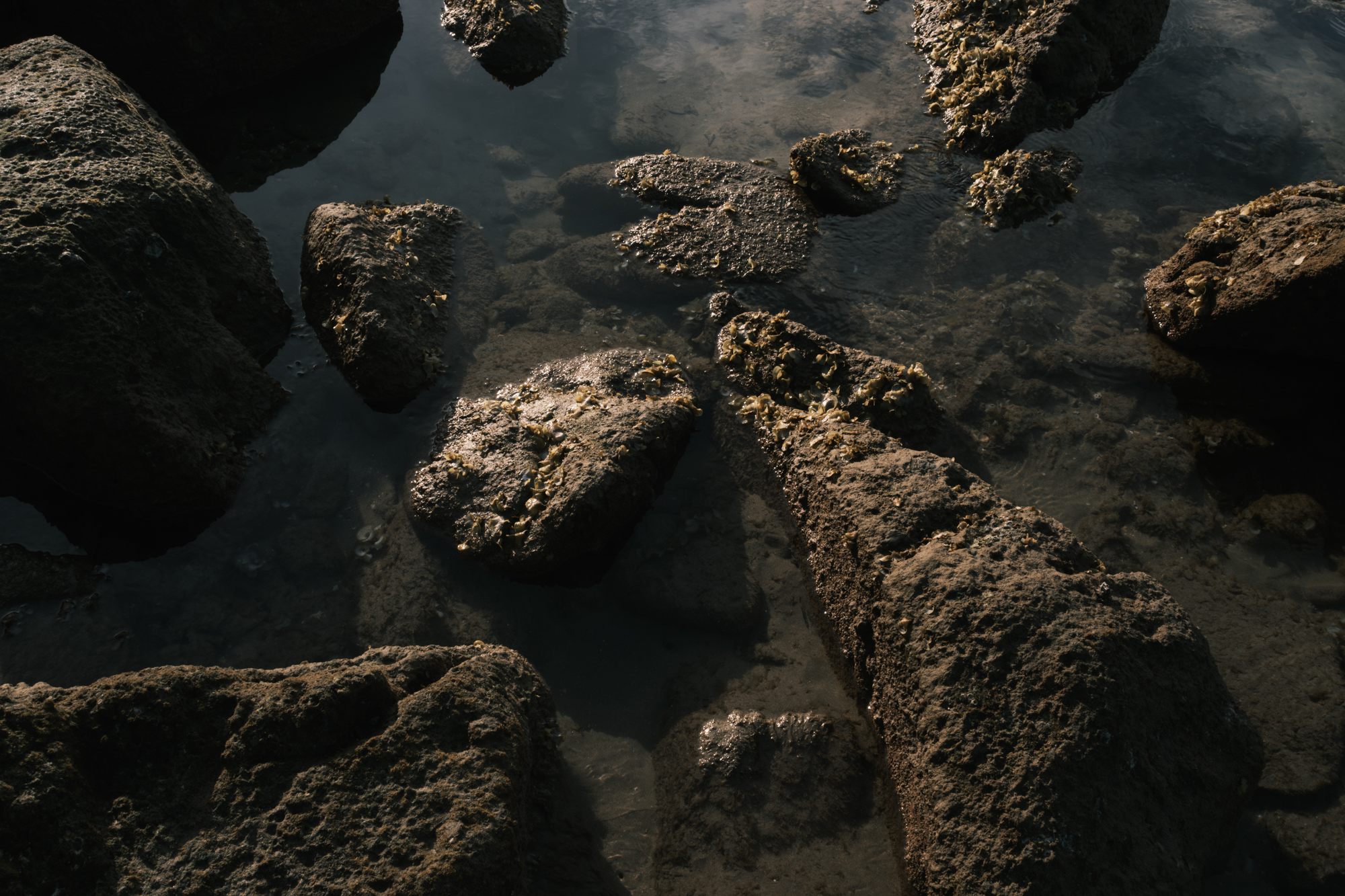 Stones photograph 37