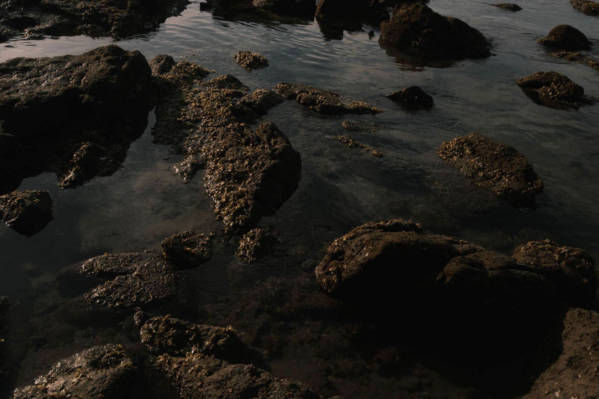 Stones photograph 38